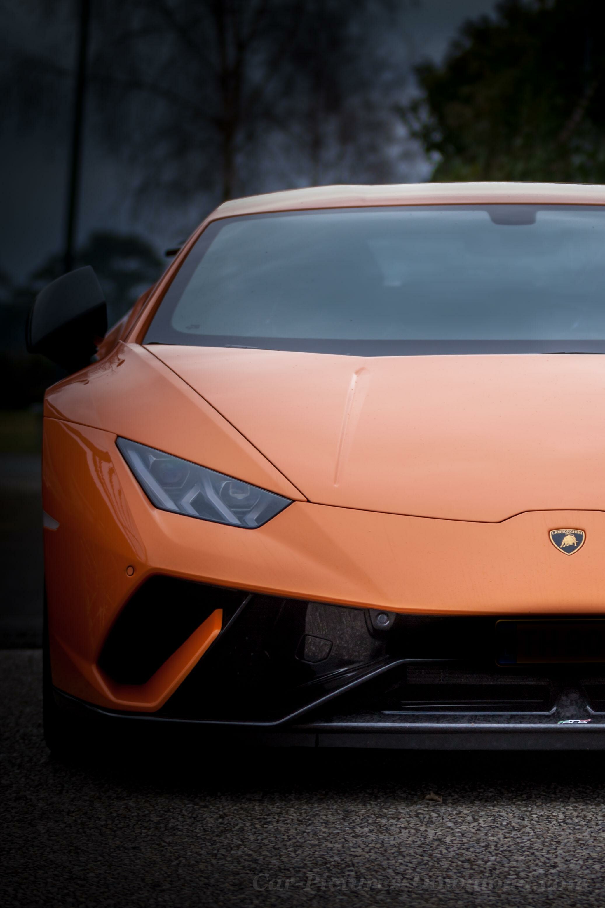 Lamborghini: The company was placed in the receivership of brothers Jean-Claude and Patrick Mimran in 1980. 2080x3110 HD Background.