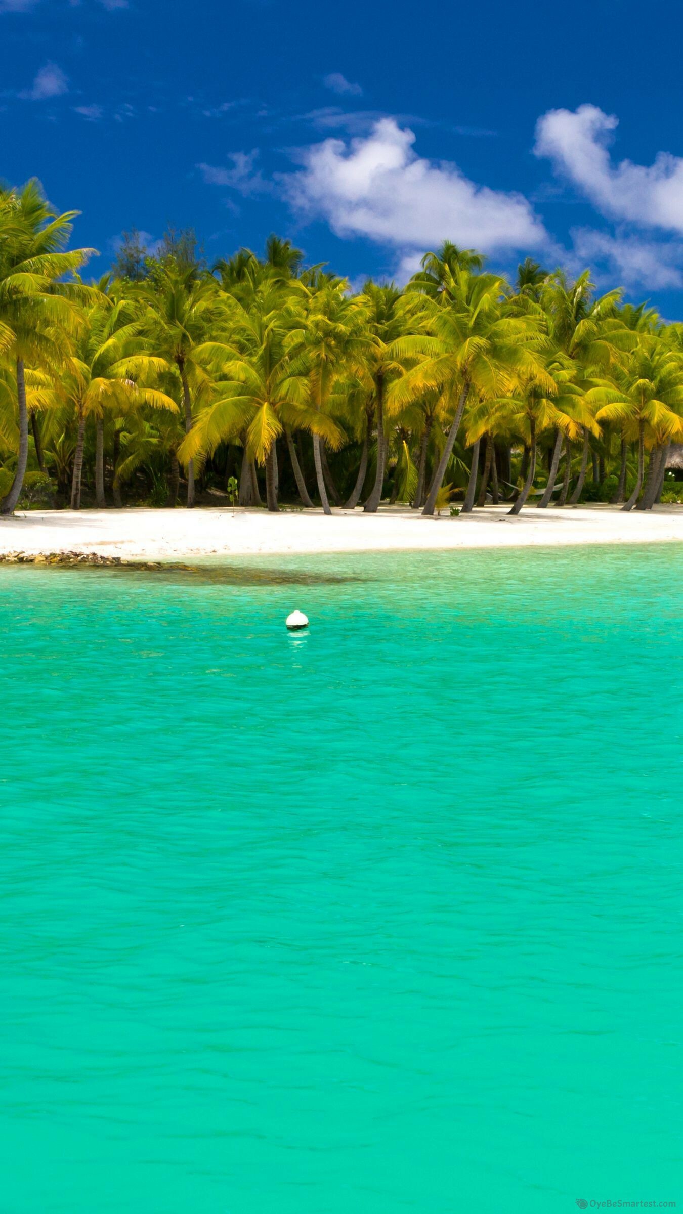Ethnic Maldives summer, Full HD nature, Wallpaper free download, Breathtaking beauty, 1350x2400 HD Phone