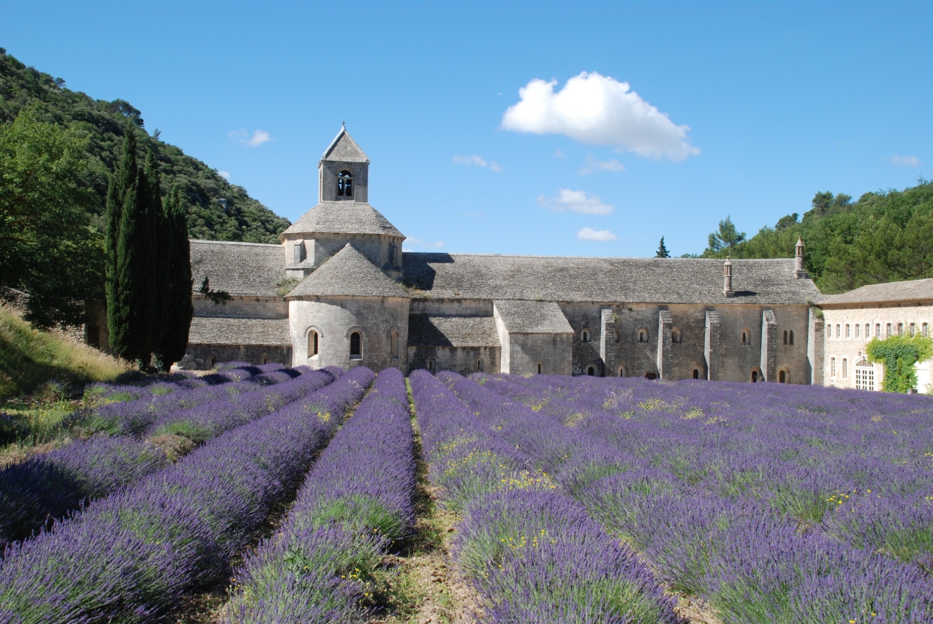 Luberon Regional Nature Park, Provence Lavender, Bike tour, Explore France, 1920x1290 HD Desktop