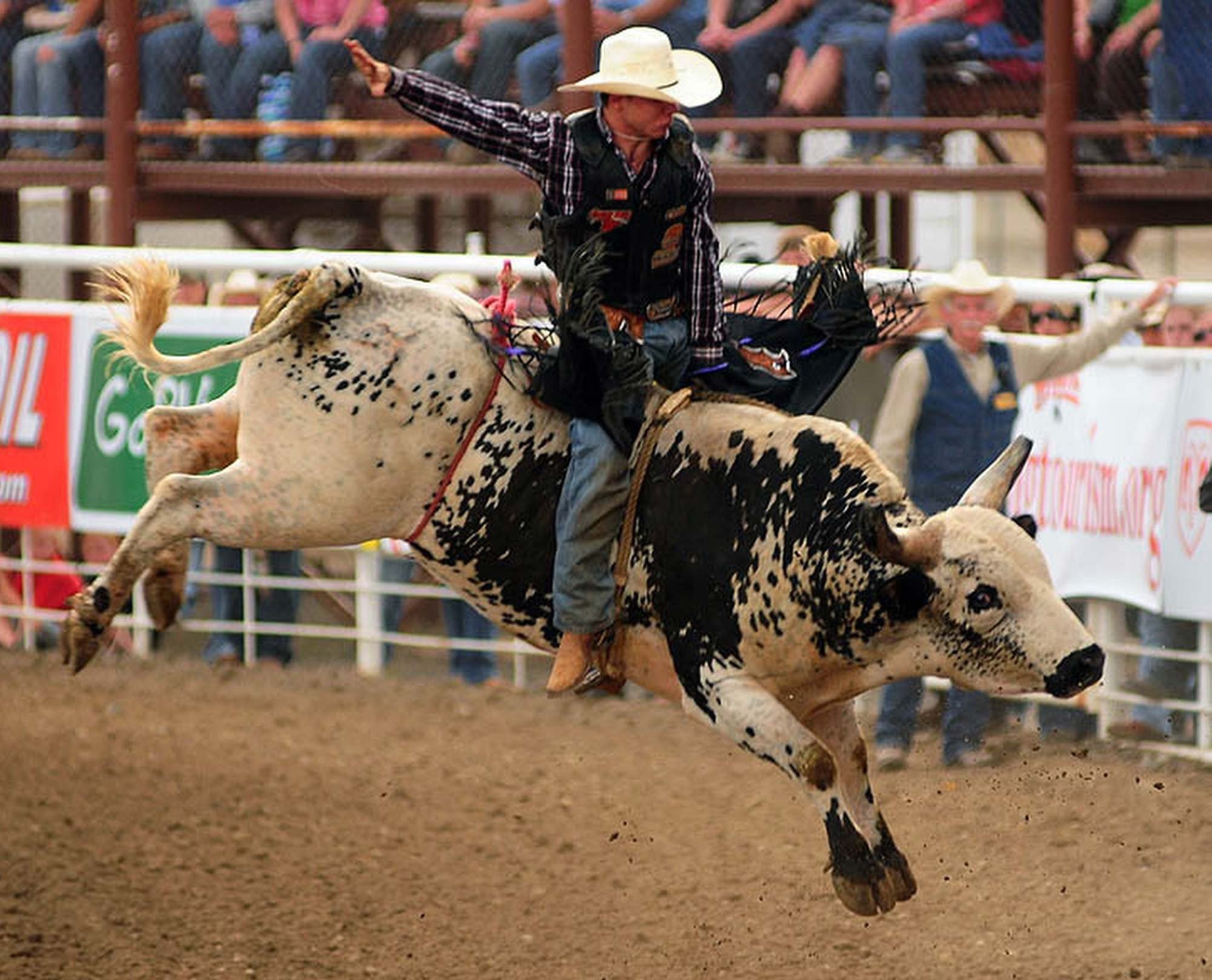 Bullriding: A rodeo sport in which the rider tries to hold on to a bucking bull, Pro bullfighter, Man riding a bull. 2000x1620 HD Wallpaper.