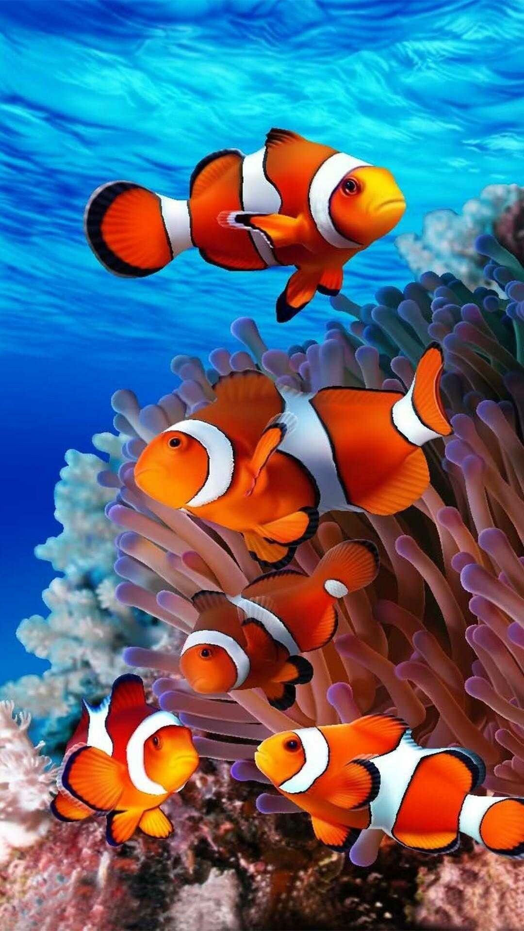 iPhone fish wallpapers, Stunning aquatic imagery, Oceanic inspiration, Perfect for iOS devices, 1080x1920 Full HD Phone