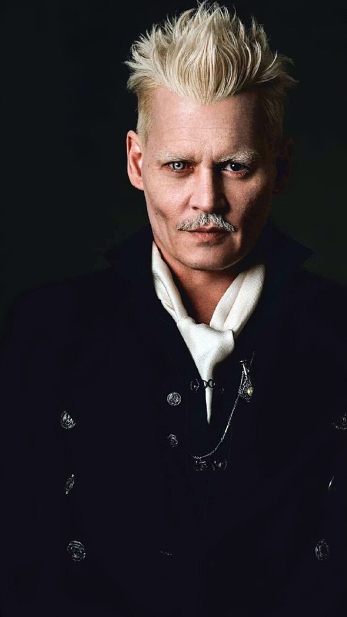 Fantastic Beasts Grindelwald, Johnny Depp, Character ideas, Harry Potter, 1130x2010 HD Phone