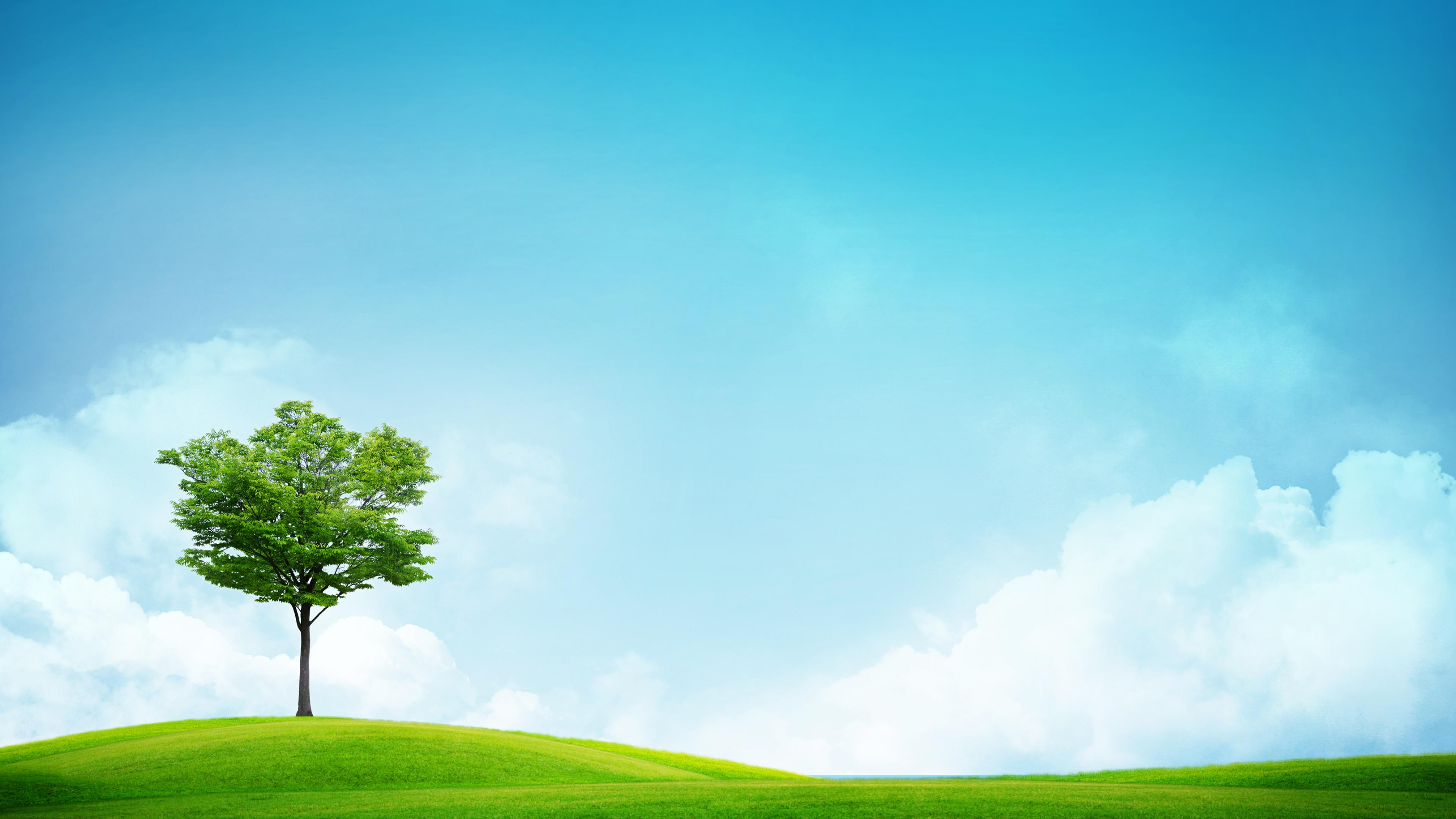 Grass and Sky: Scenery, Country setting, Natural surroundings, Green terrain. 3840x2160 4K Wallpaper.
