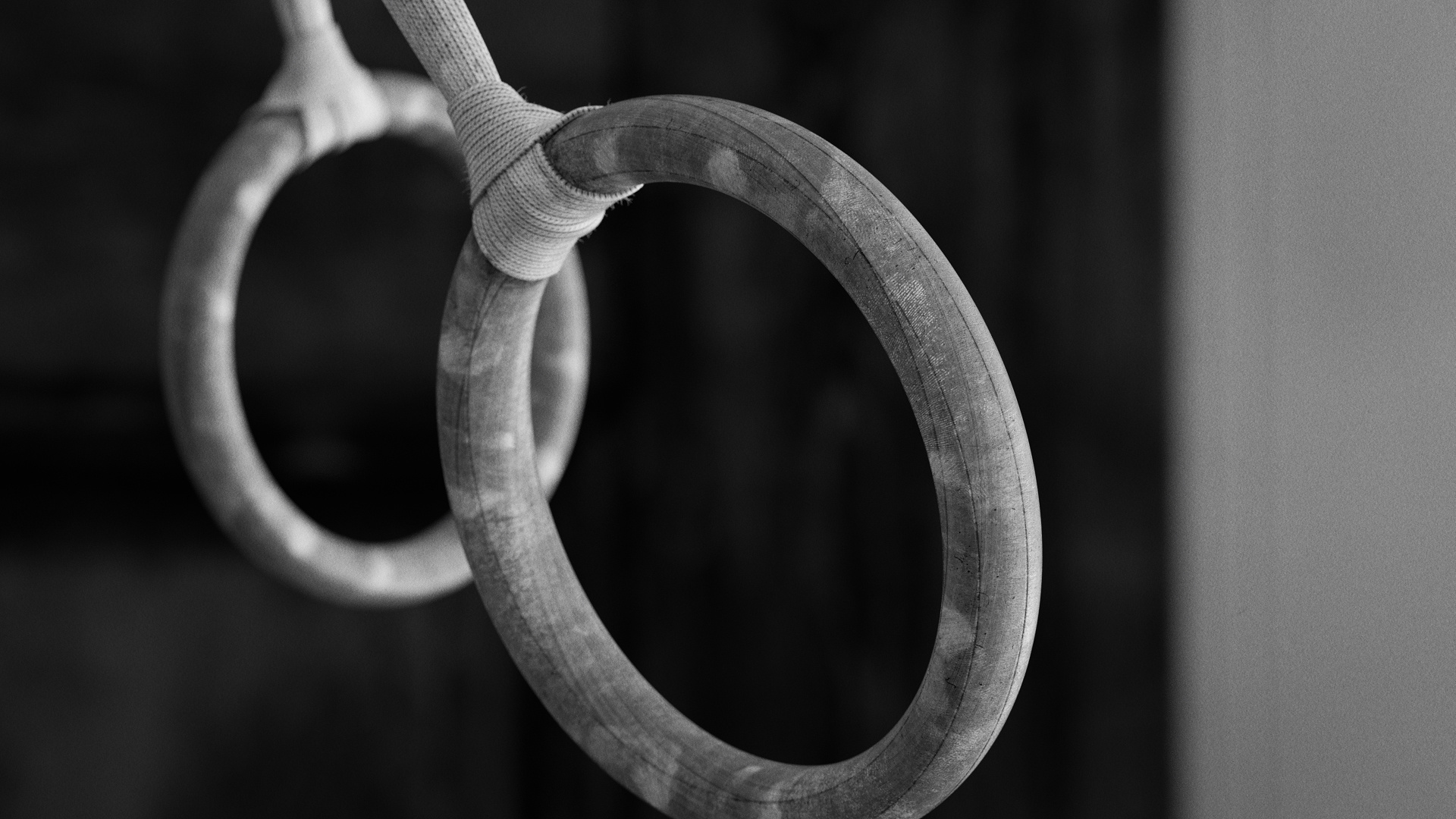 Rings (Gymnastics): Black and white, AG equipment and apparatus. 1920x1080 Full HD Background.