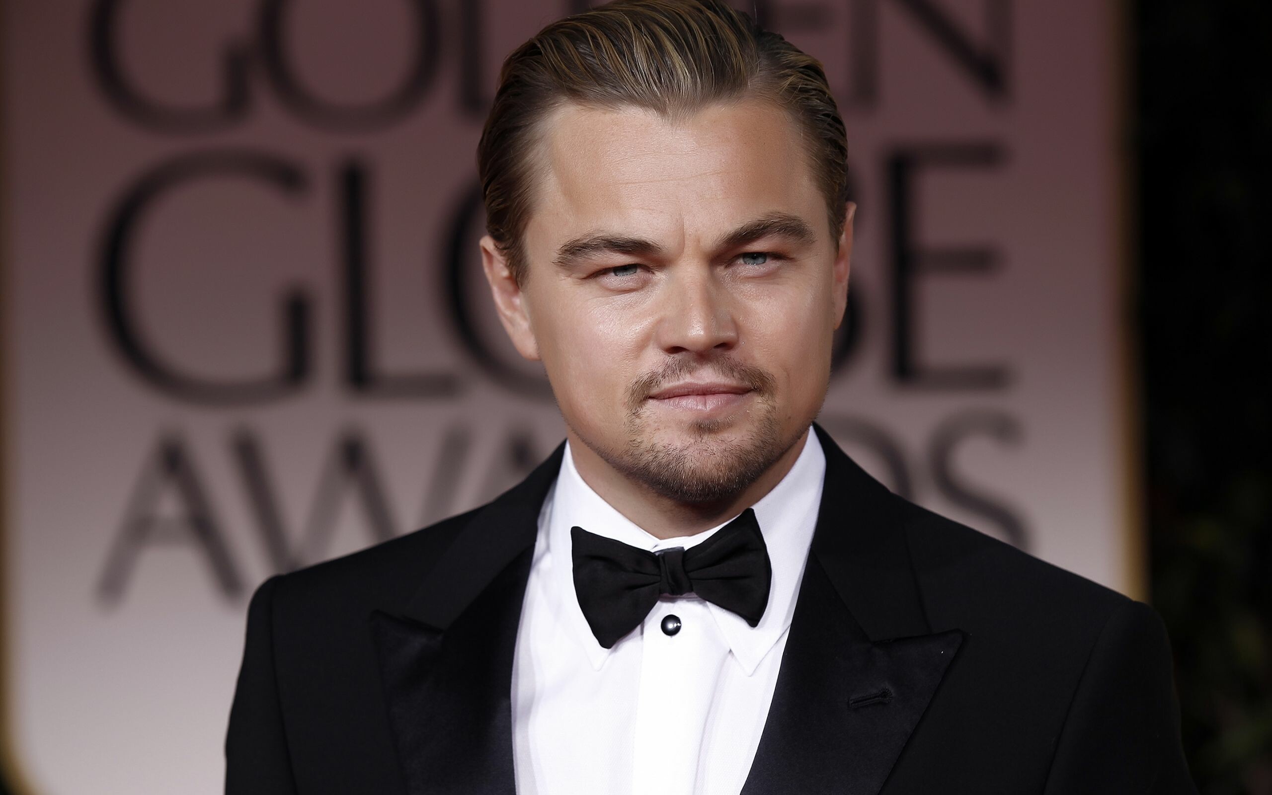 Leonardo DiCaprio, Portrt des Schauspielers, Prominenter Status, 4K-Auflsung, 2560x1600 HD Desktop
