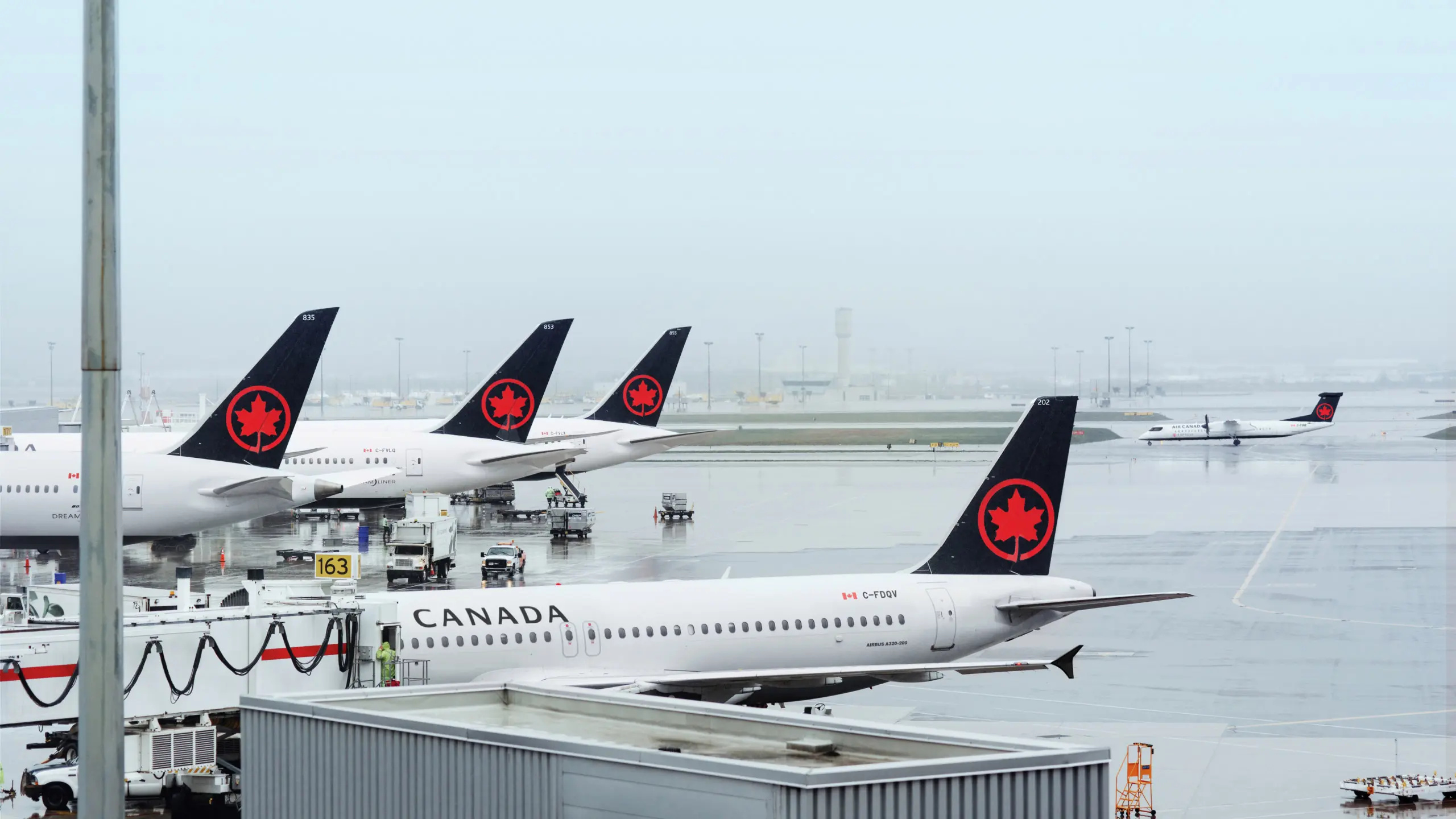 Air Canada, Travel and mobility, Archives, Winkreative, 2560x1440 HD Desktop