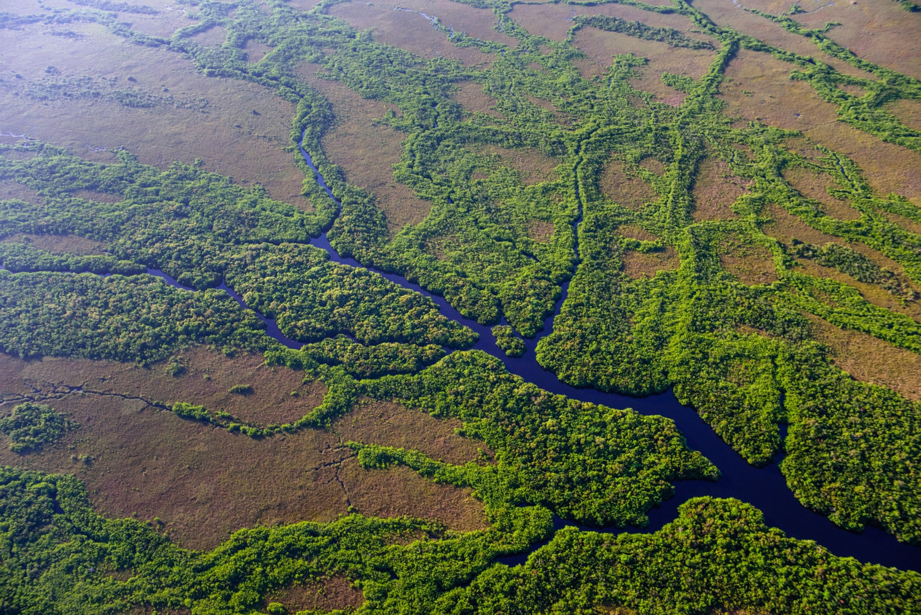 Everglades National Park, Travel guide, Untouched wilderness, Florida, 3080x2060 HD Desktop