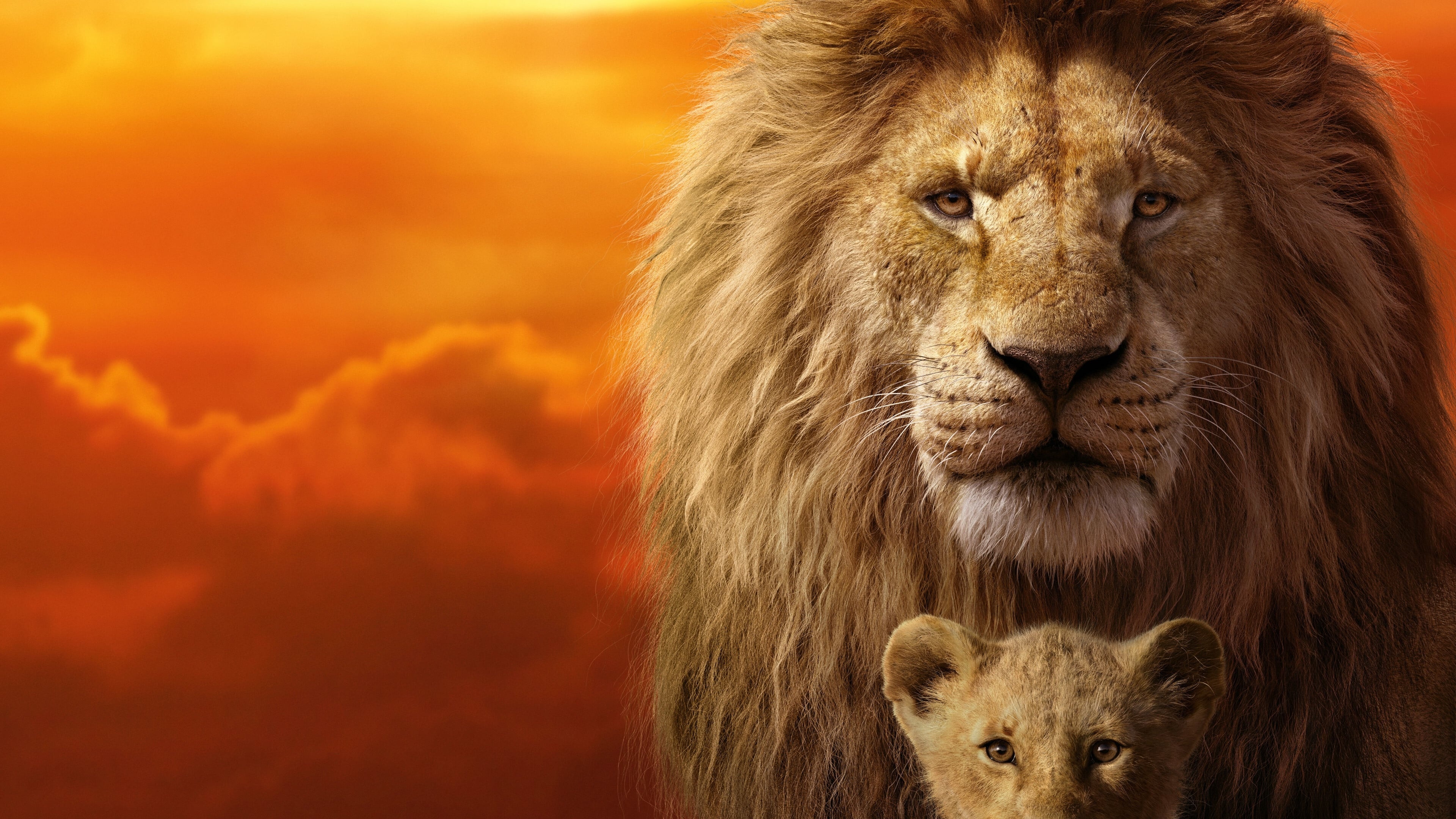 The Lion King, Captivating remake, Beloved characters, Visual spectacle, 3840x2160 4K Desktop