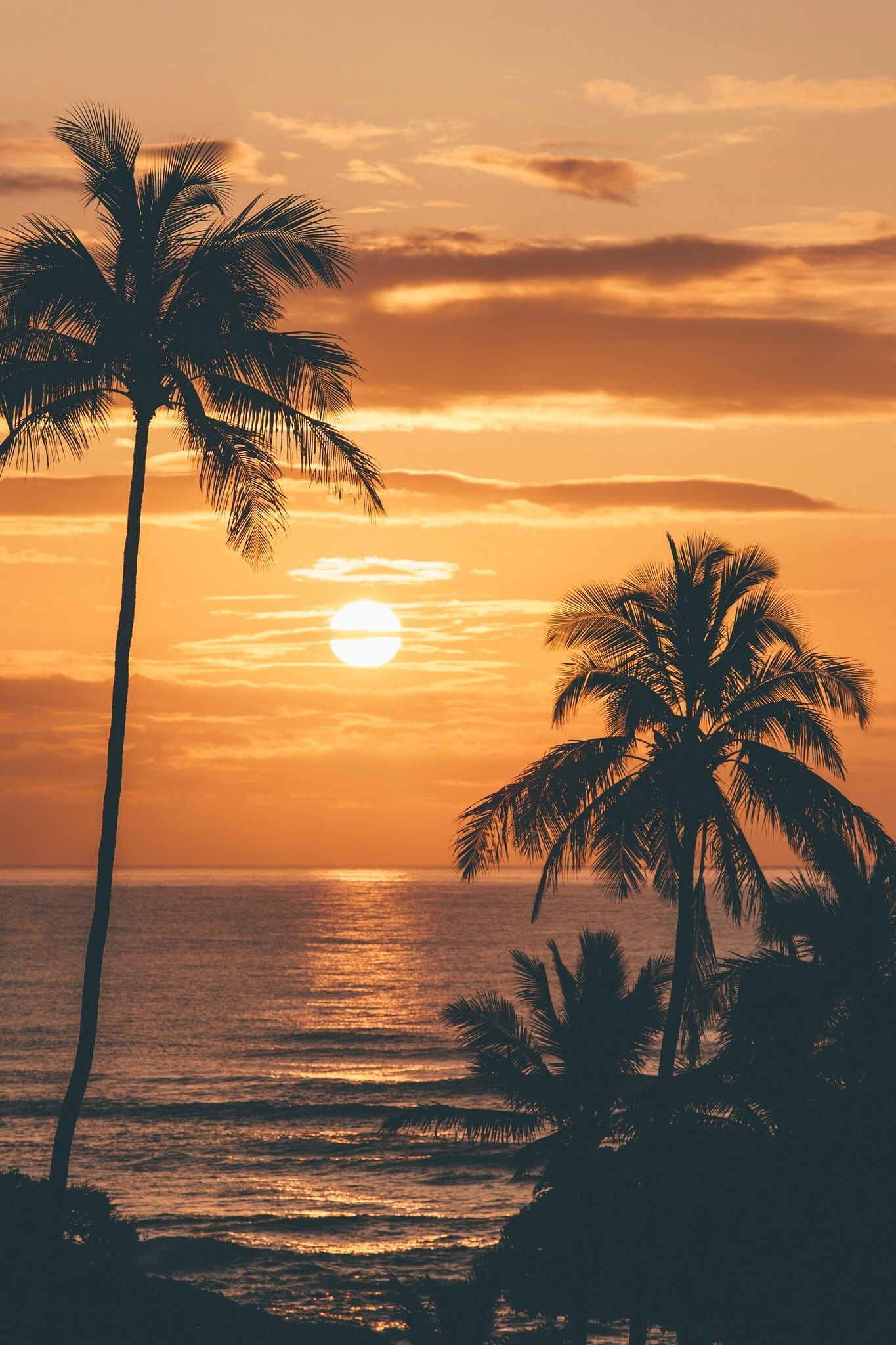 Kauai, Sunrise sunset, Nature pictures, Serene beauty, 1370x2050 HD Phone
