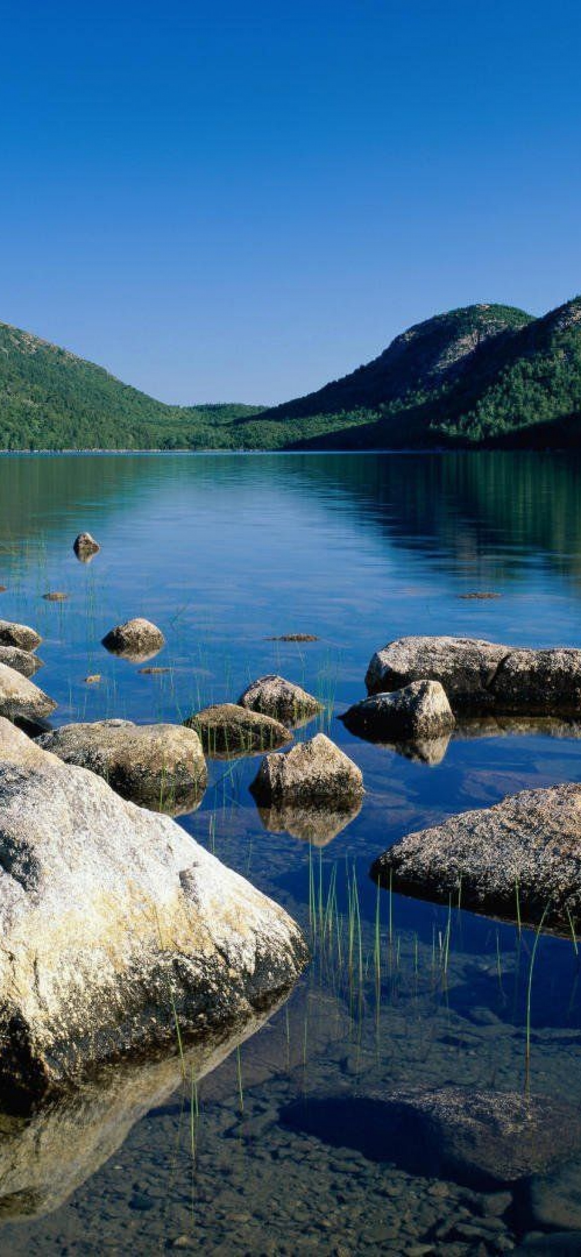 Acadia National Park, Full HD 5K images, Download wallpaper, 1170x2540 HD Phone