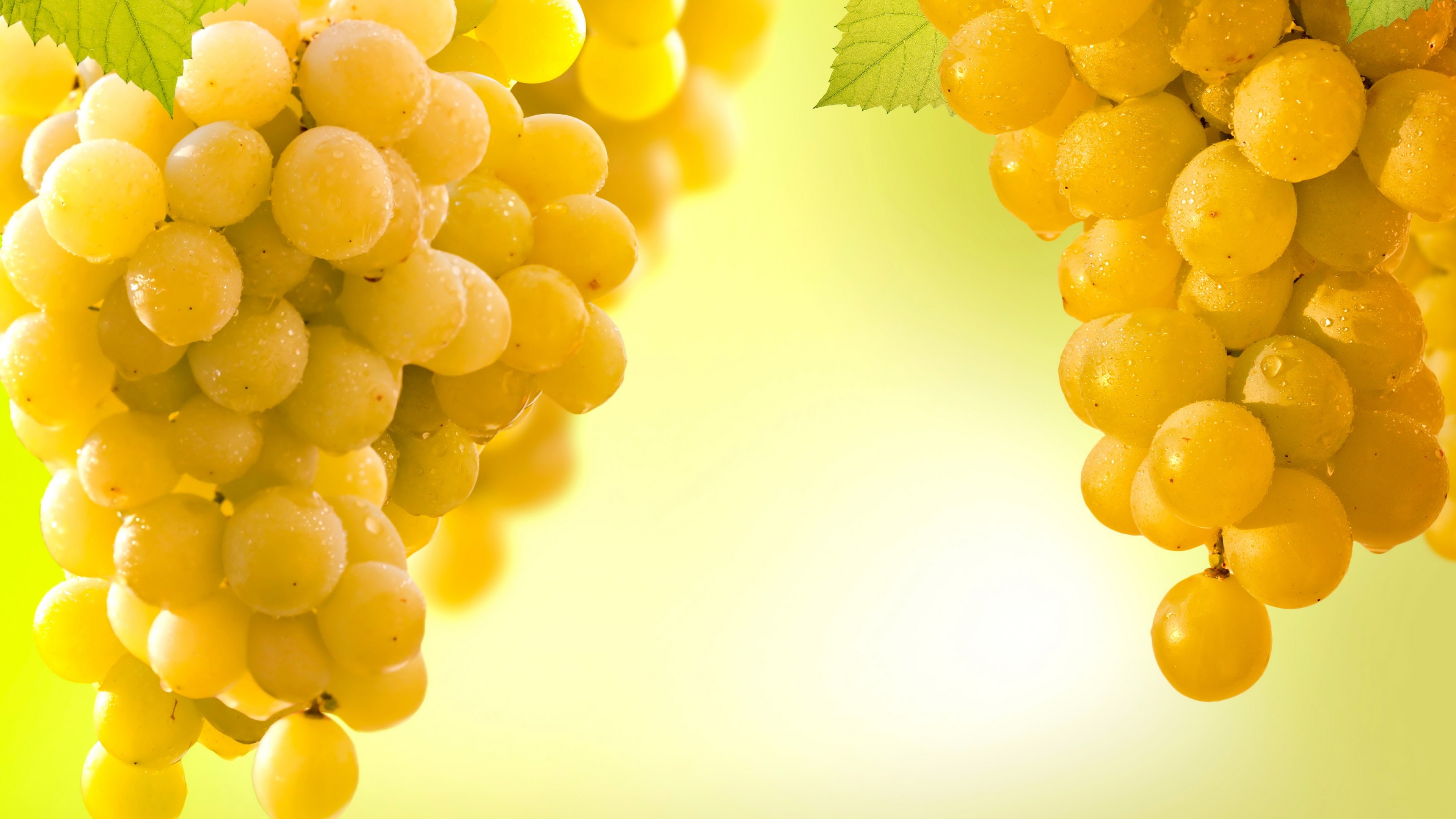 Grapes: Generally occurring in clusters, The Grapevine family. 3840x2160 4K Wallpaper.
