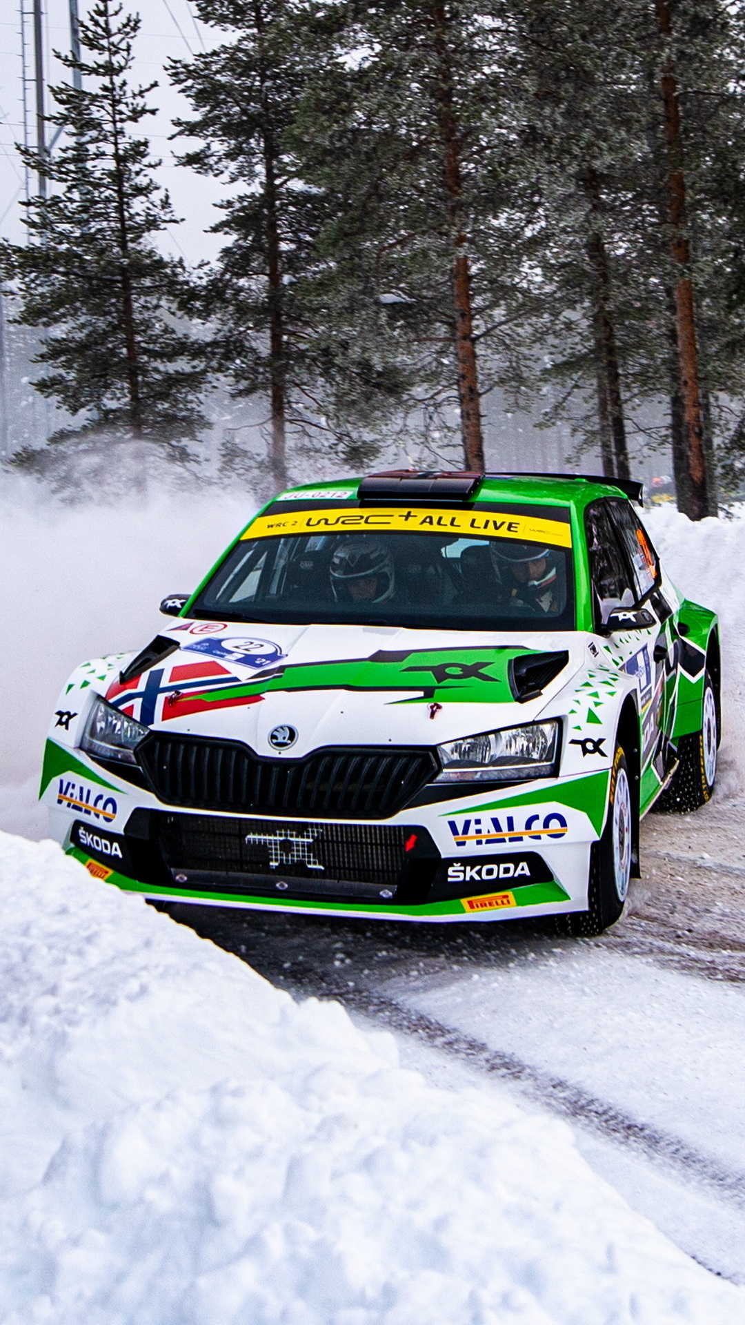 Skoda Fabia, Arctic Rally Finland, Phone wallpapers, Koda Motorsport association, 1080x1920 Full HD Handy