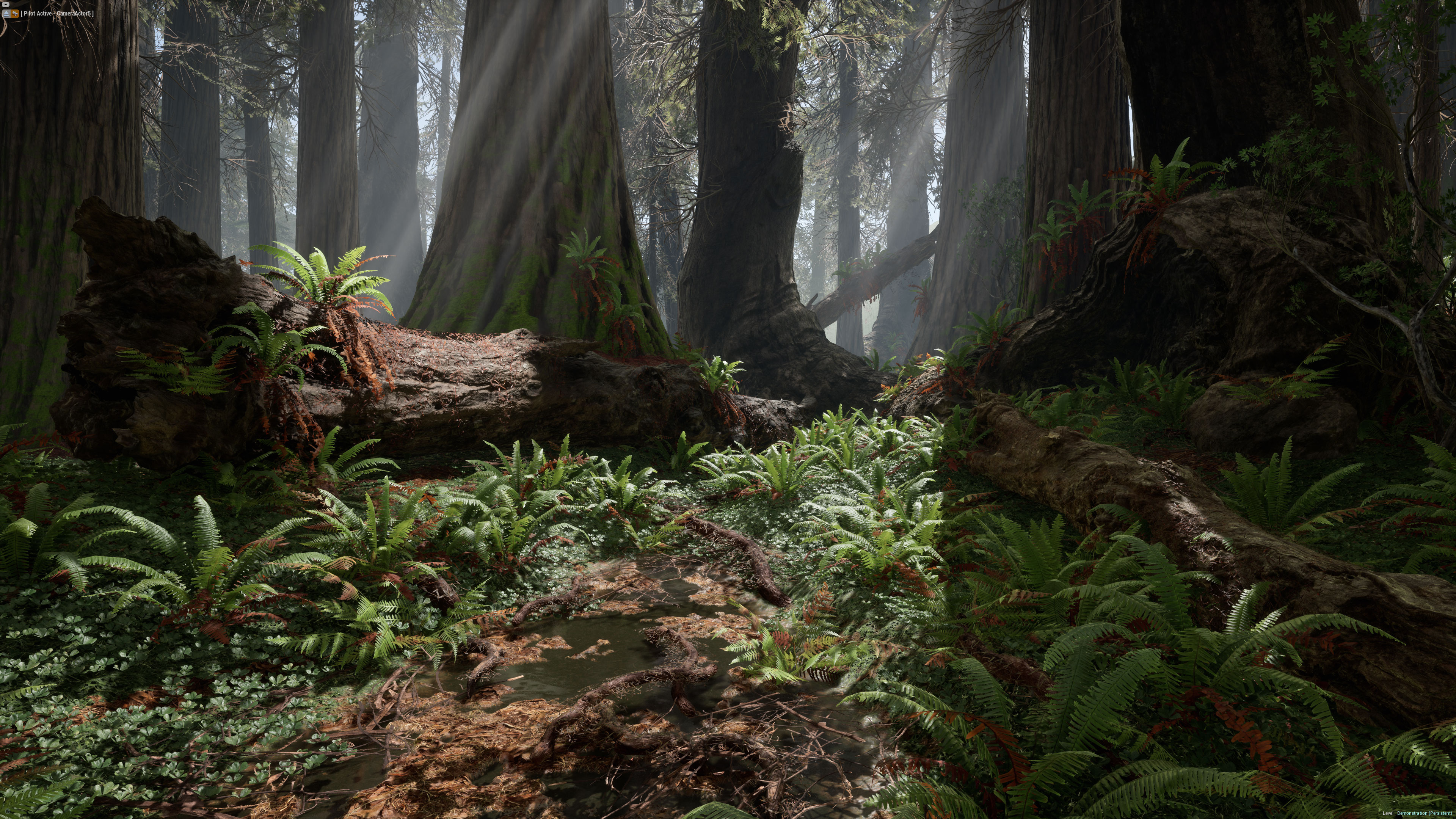 Redwood national park, California beauty, Maximum enchantment, Unreal splendor, 3840x2160 4K Desktop