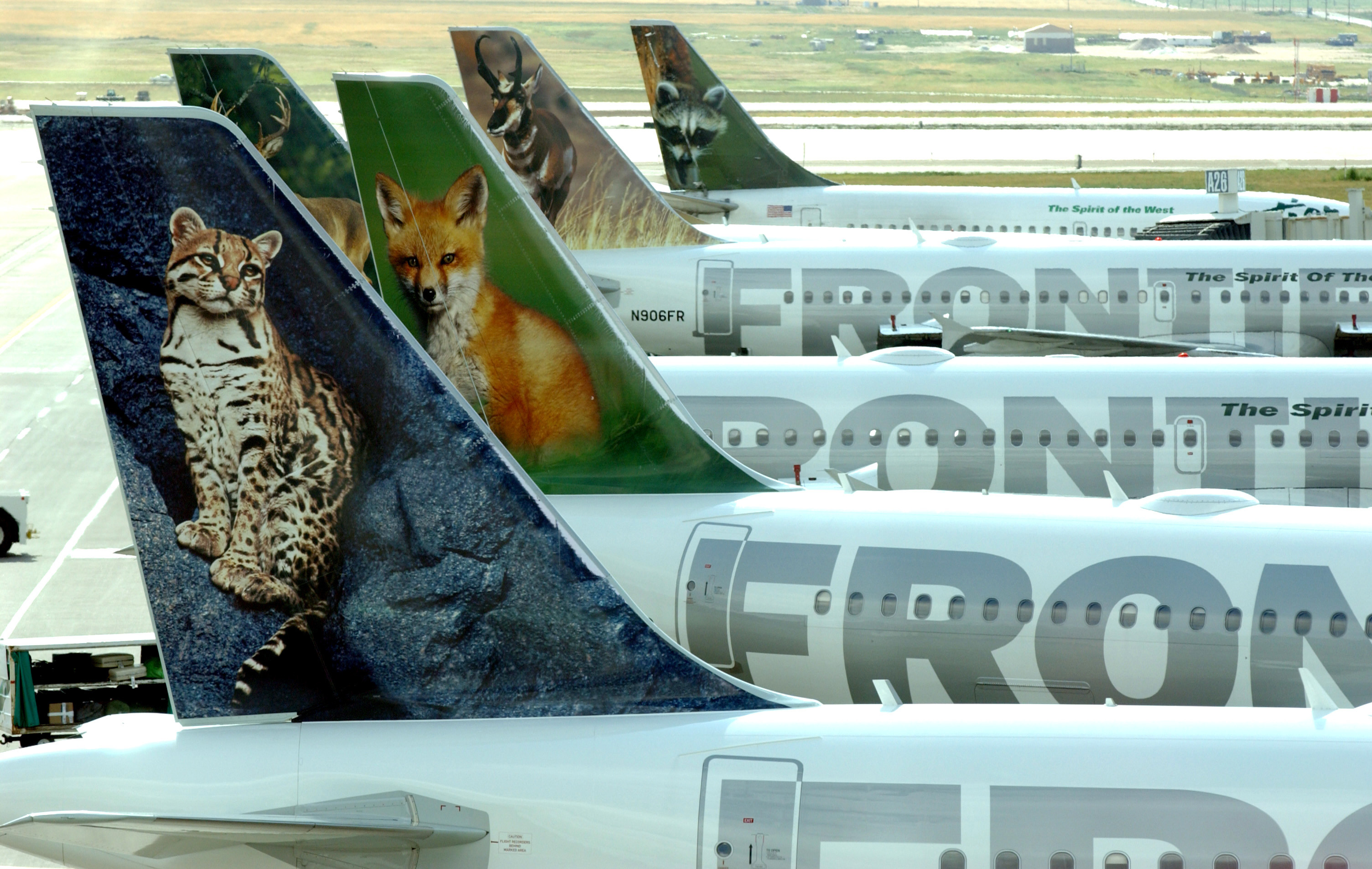 Frontier Airlines, Start flying out, Boston Globe, 3010x1910 HD Desktop