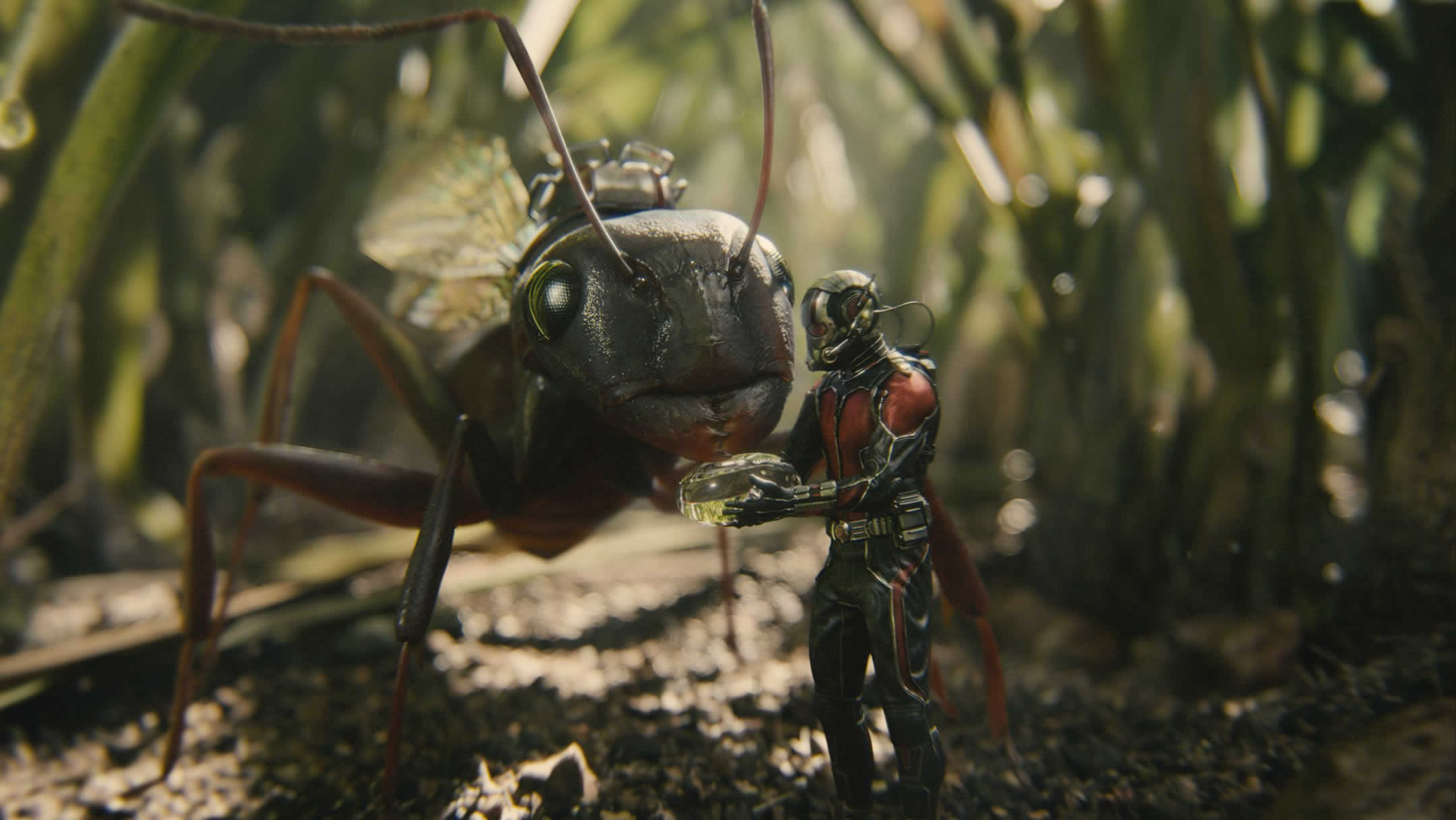 Ant-Man, HD wallpaper background, Amazing visual, Striking, 2160x1220 HD Desktop