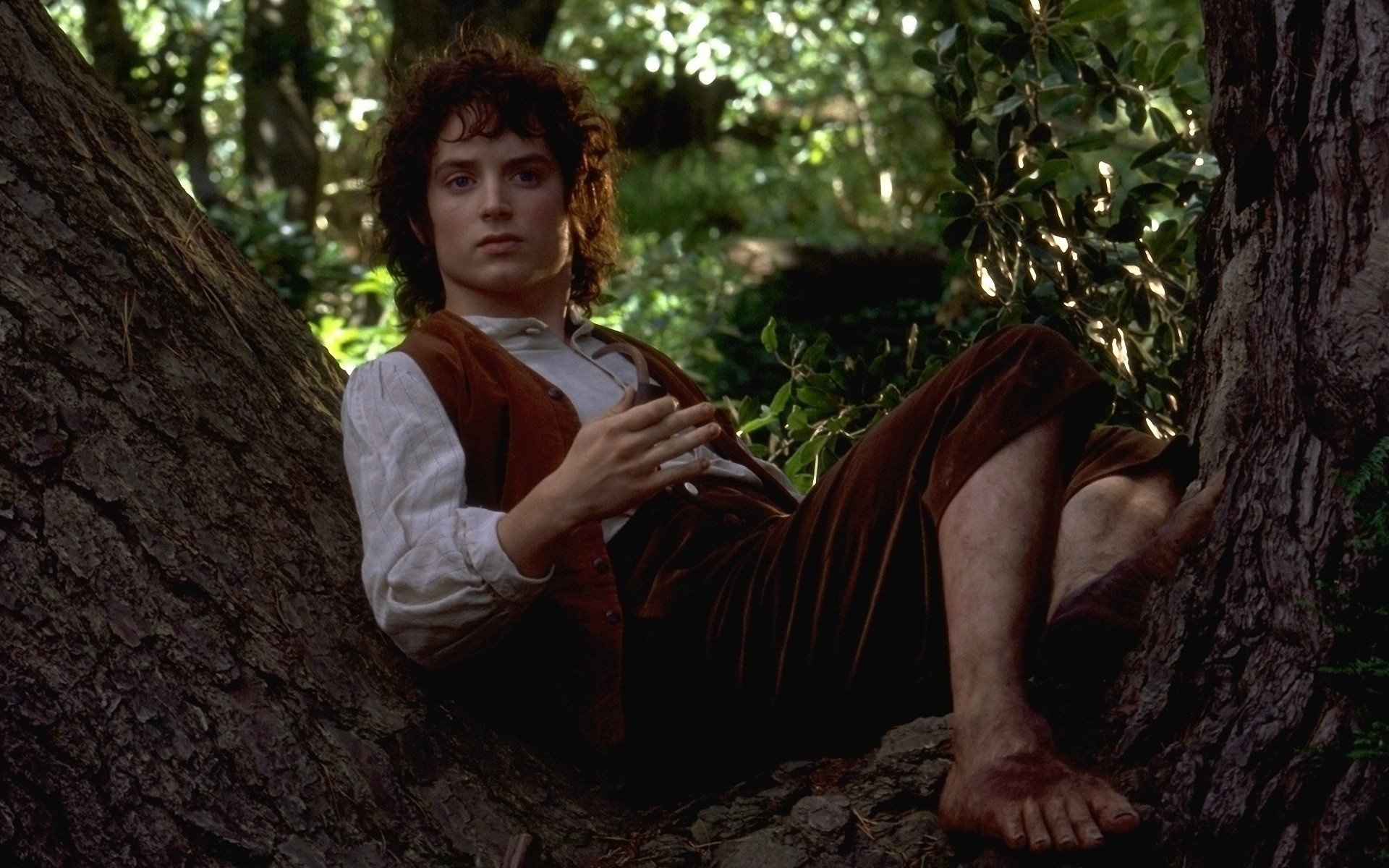 Frodo Baggins, Elijah Wood, Middle-earth adventure, The Fellowship of the Ring, 1920x1200 HD Desktop
