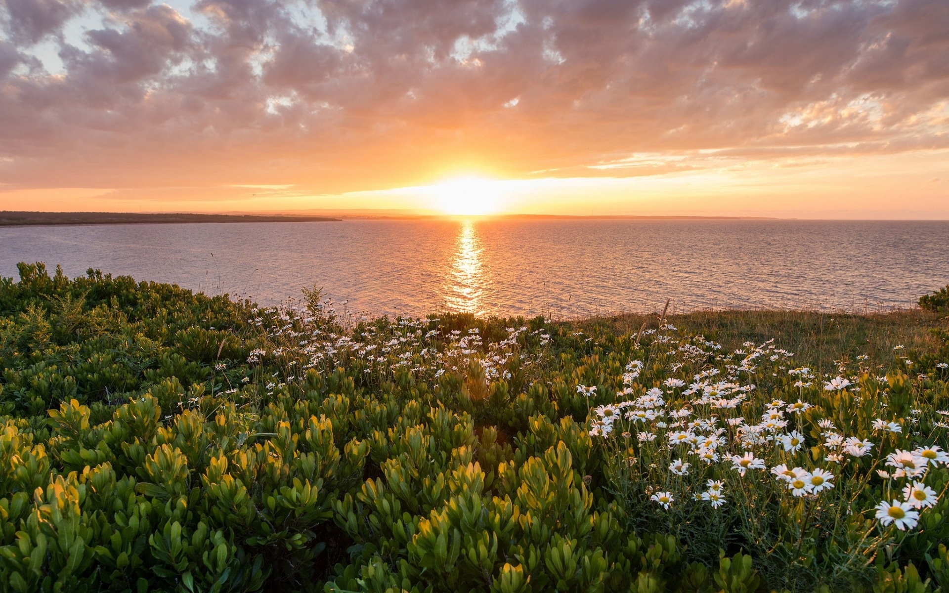 Cape Breton Island, Ocean sunset, Atlantic beauty, Desktop wallpaper, 1920x1200 HD Desktop