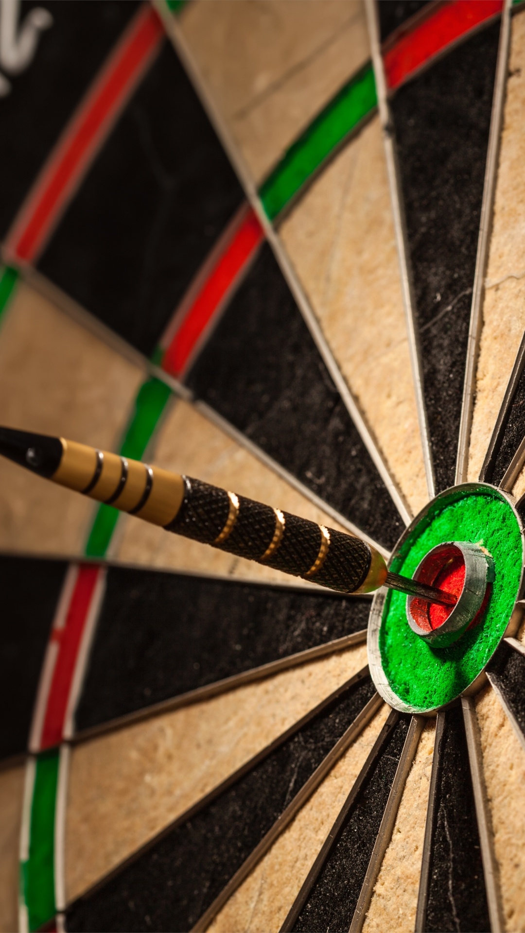 Darts: A fine quality 18-inch diameter board, 20 sections, The bullseye, Indoor game. 1080x1920 Full HD Background.