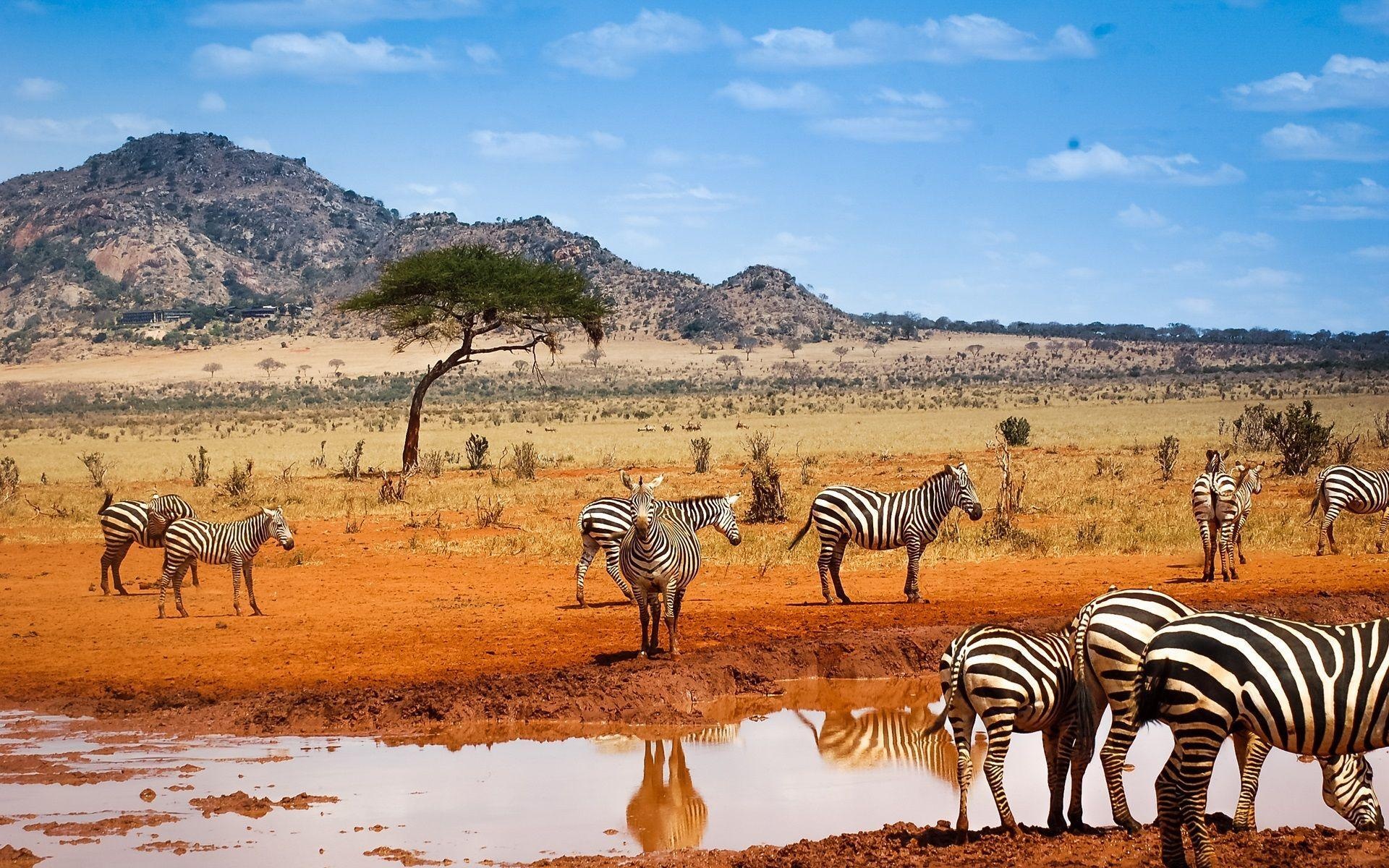 Kenyan wallpapers, Breathtaking sceneries, Vibrant culture, African beauty, 1920x1200 HD Desktop
