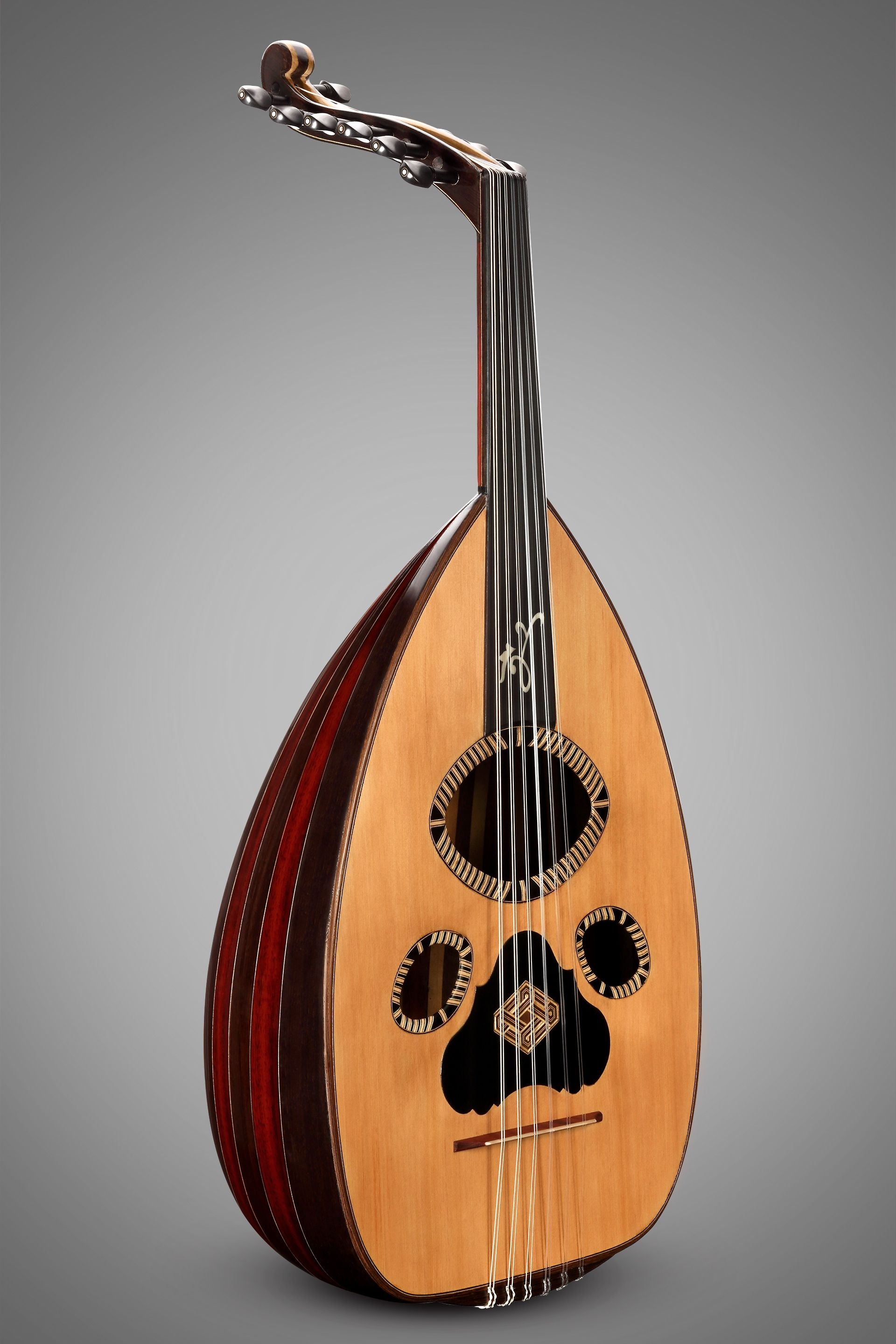 Lute: Zeryab Company, Musical Instrument Maker, Unfretted Neck, Folk Instrument. 1920x2880 HD Wallpaper.