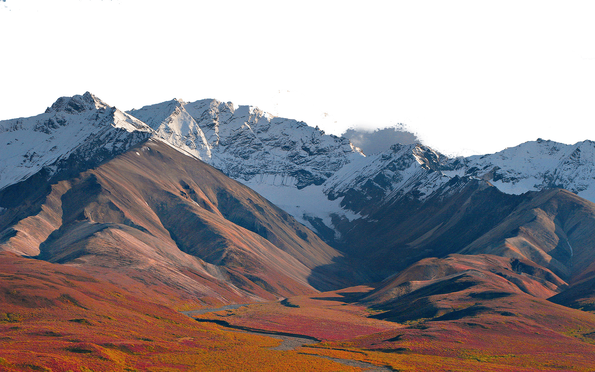 Denali National Park, Sunlit landscapes, Serene beauty, 1920x1200 HD Desktop