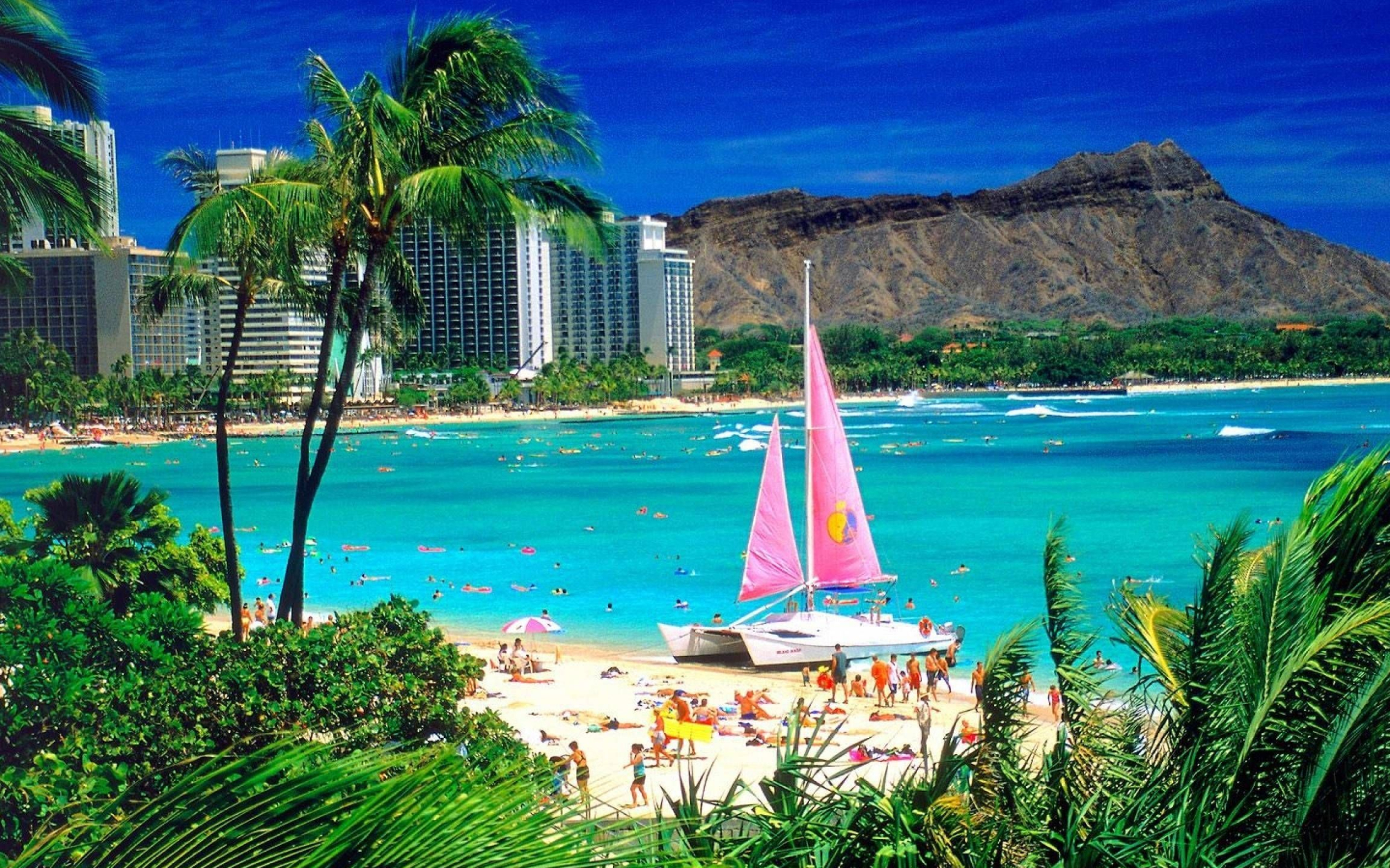 Hawaiian beaches, Sandy delights, Coastal retreats, Tranquil shores, 2560x1600 HD Desktop