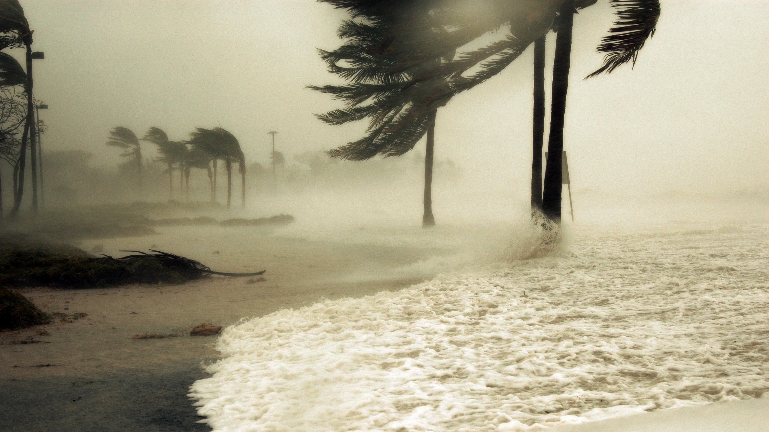 Hurricane, Nature, Tornado, Dramatic imagery, 2560x1440 HD Desktop