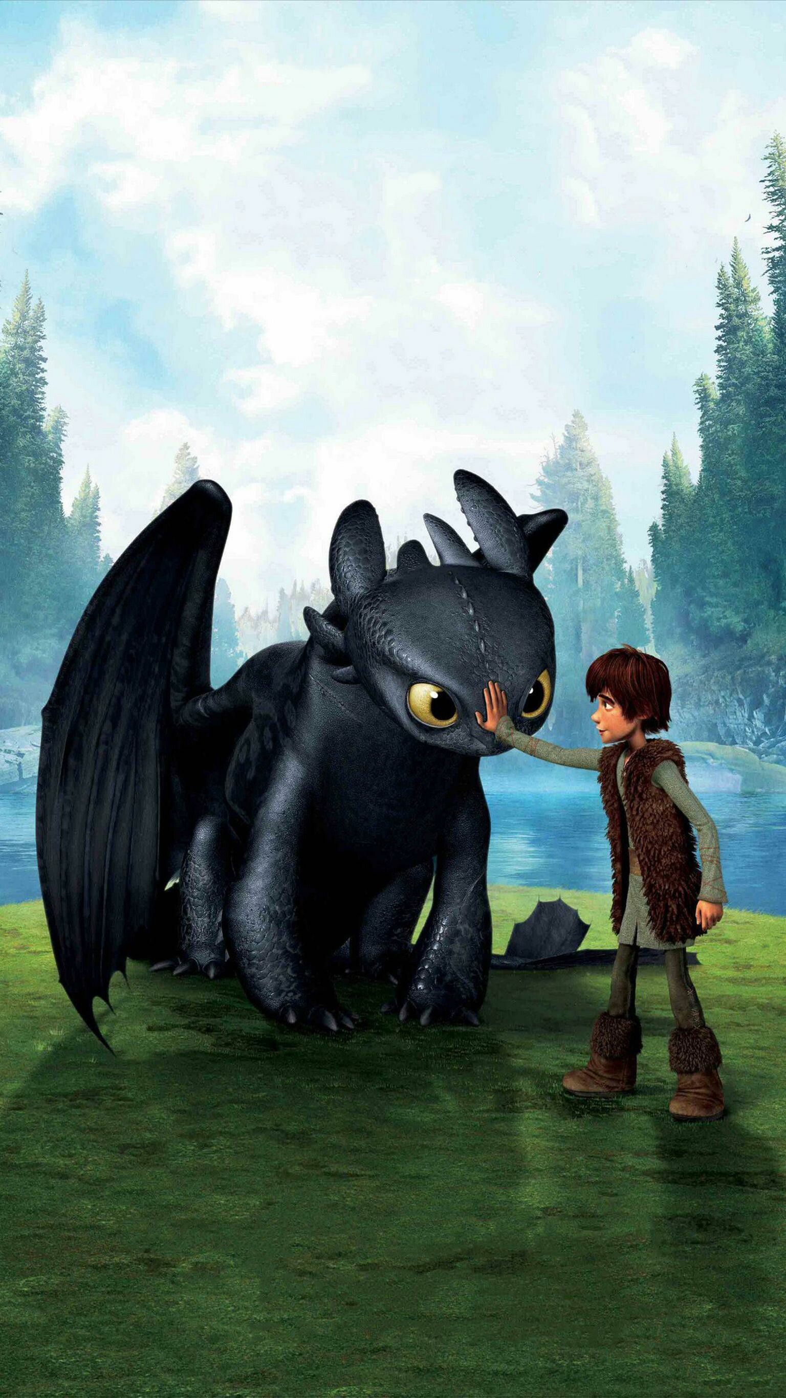 How to Train Your Dragon: The trilogy about a gentle young Viking boy, Hiccup. 1540x2740 HD Wallpaper.