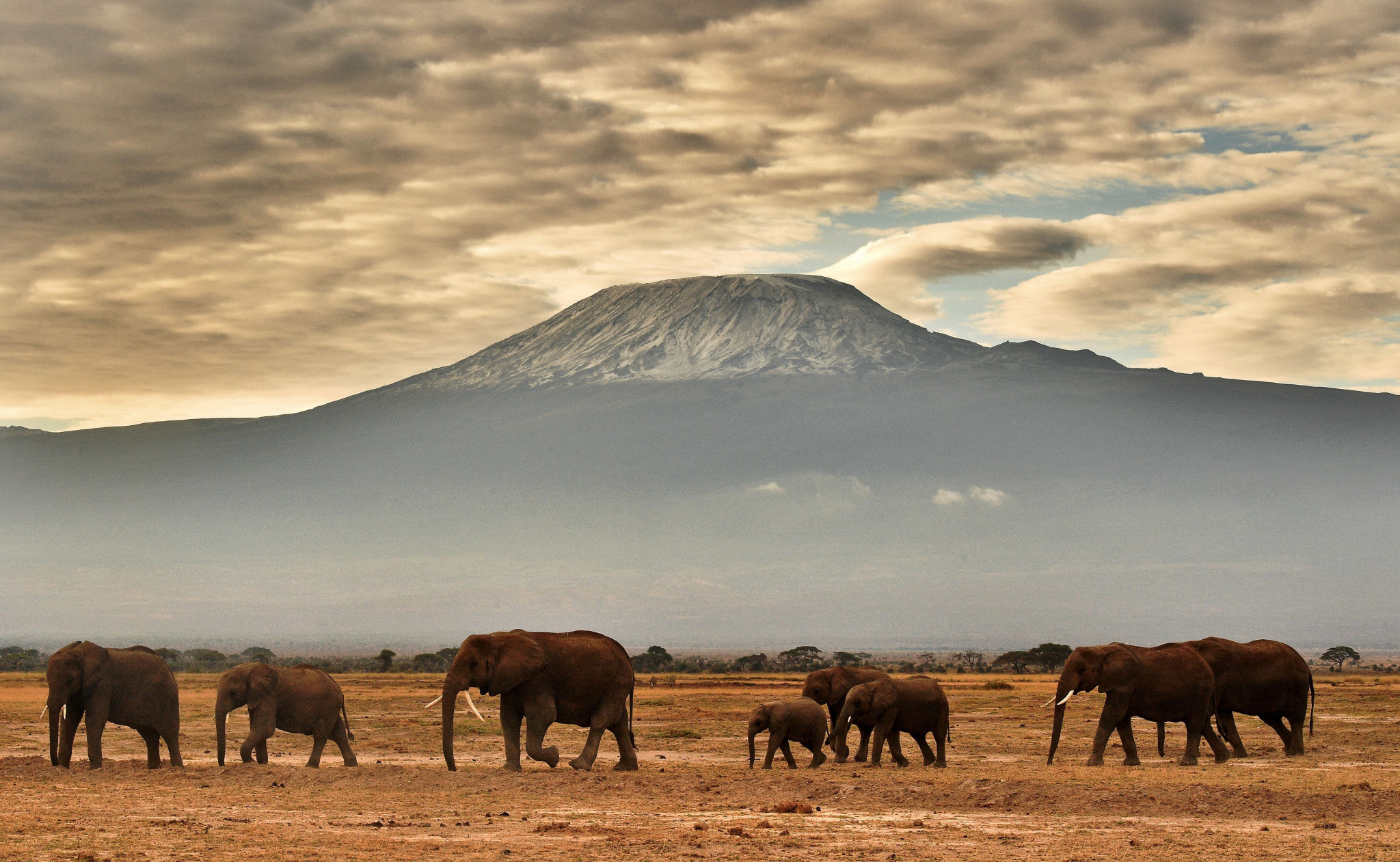Kilimanjaro, Travels, Fundraising climb, Humanitarian foundation, 2050x1270 HD Desktop