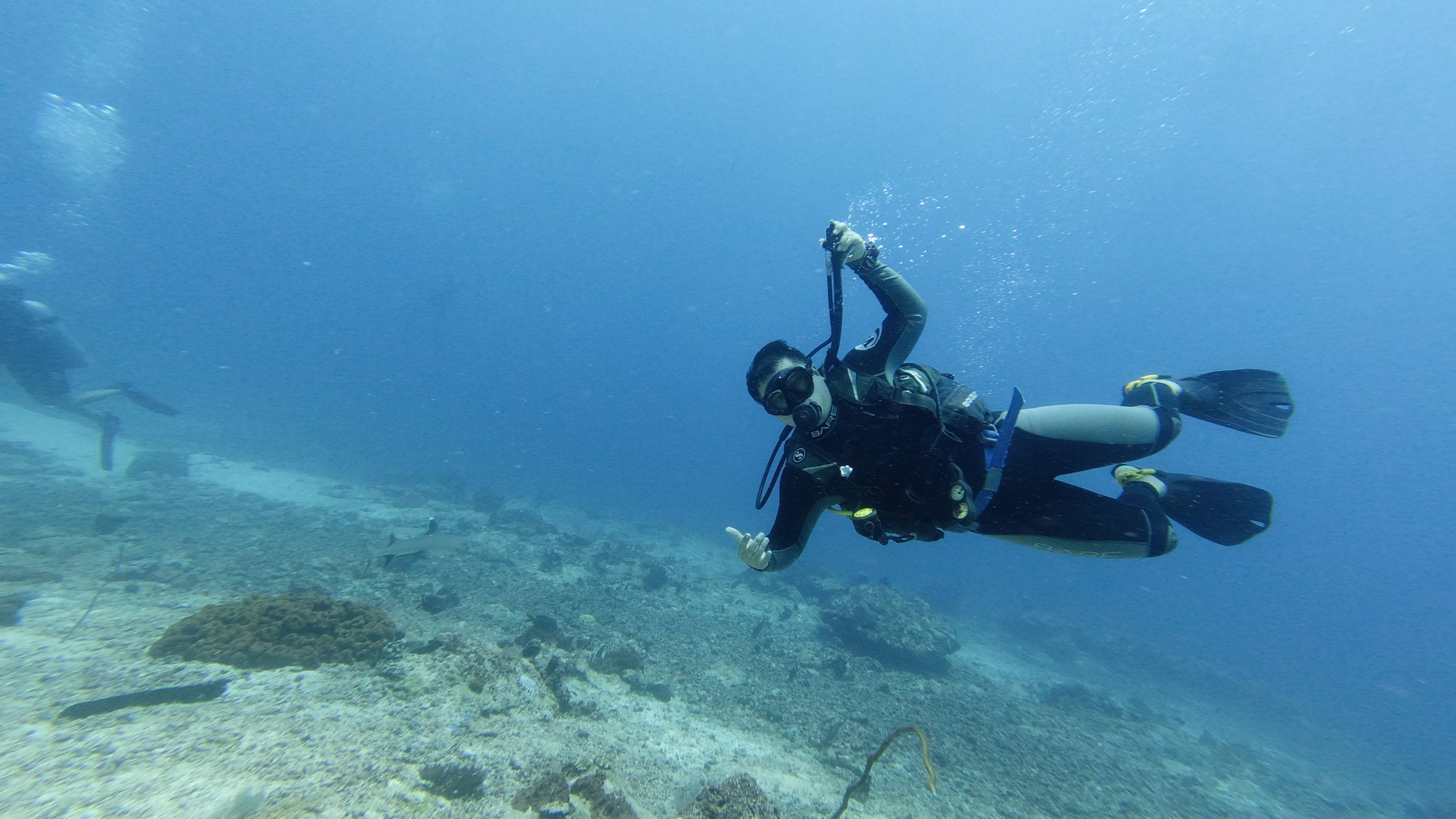Scuba Diving: A diver explores Barracuda Point near Sipadan Island in Malaysia. 3840x2160 4K Background.