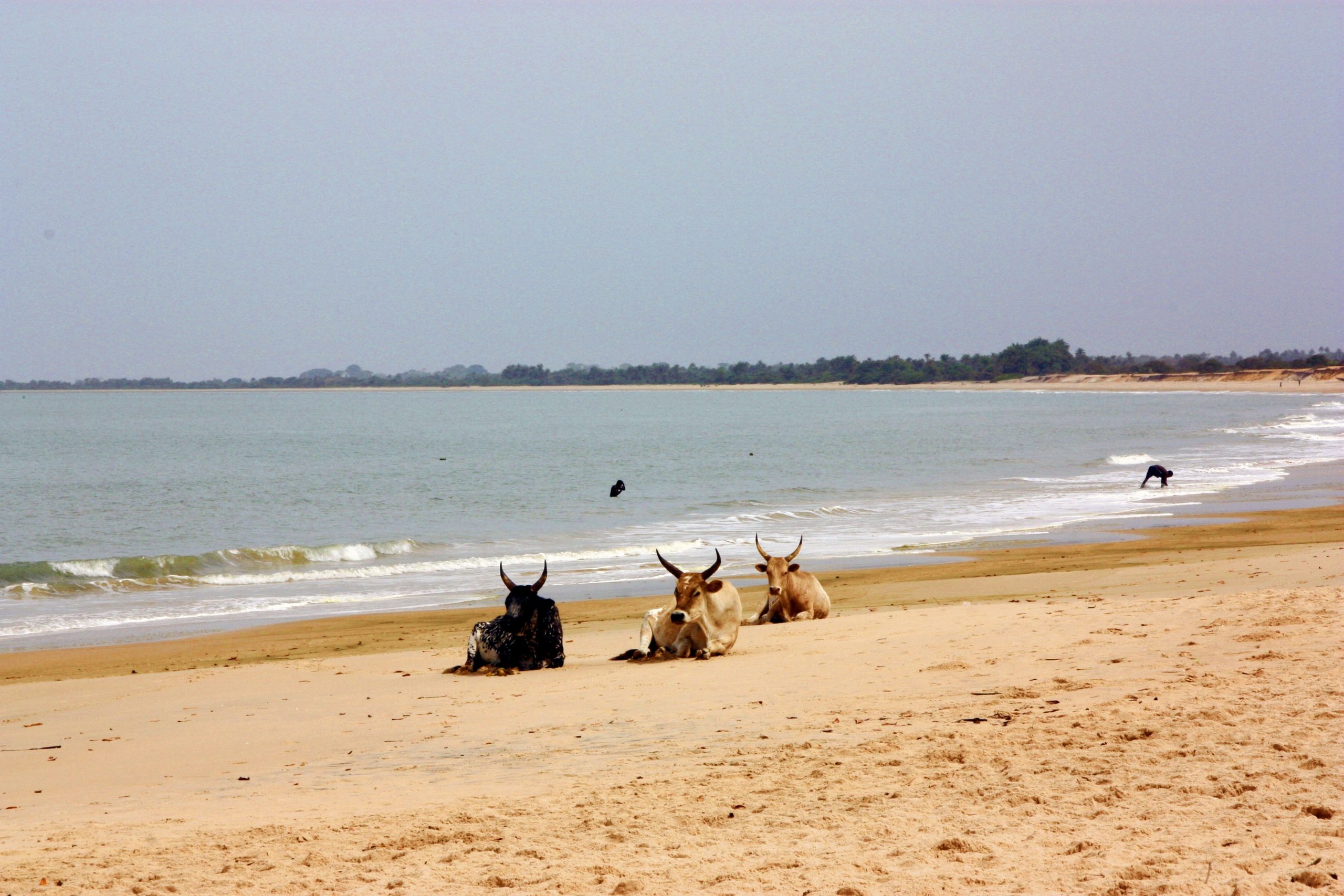 Bissau travels, Guinea-Bissau beaches, Varela Beach, Tropical paradise, 2560x1710 HD Desktop