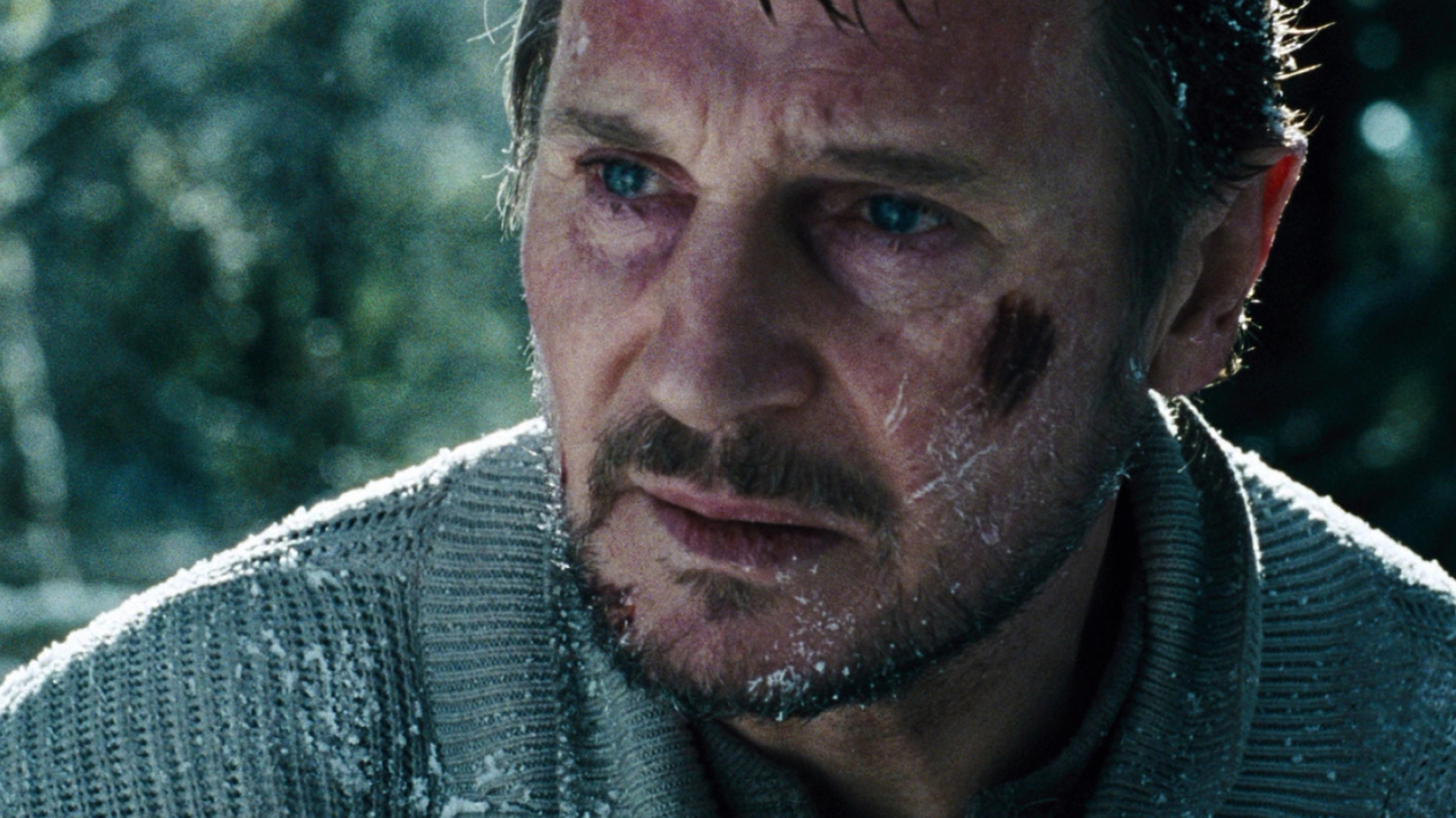 Liam Neeson, The Grey movie, 4K wallpapers, 1920x1080 Full HD Desktop