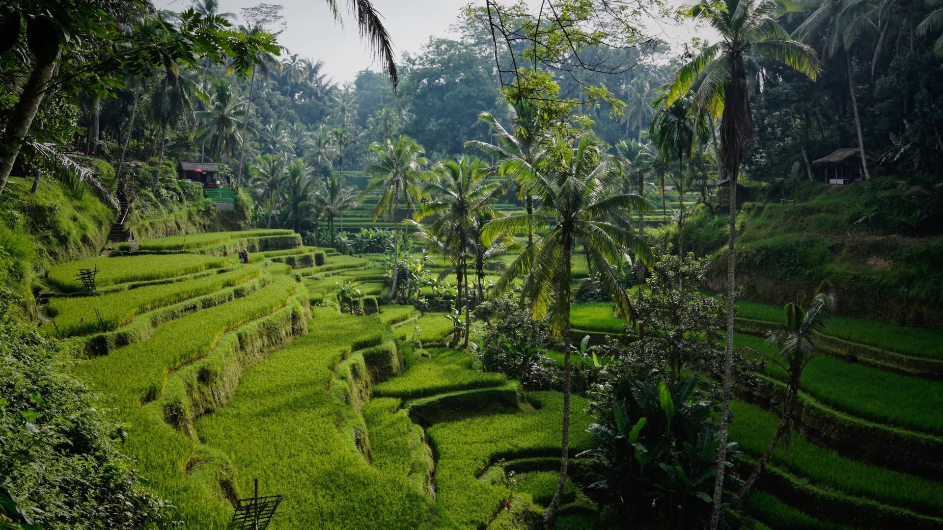 Experience Bali, Local secrets, Beaches and culture, Unmissable trip, 1920x1080 Full HD Desktop