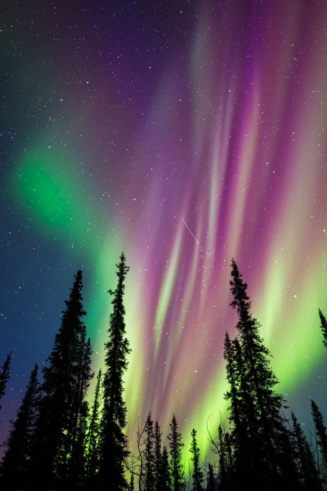 Aurora Borealis: Natural phenomenon, Occur in a band known as the "auroral zone", Alaska. 1340x2000 HD Background.