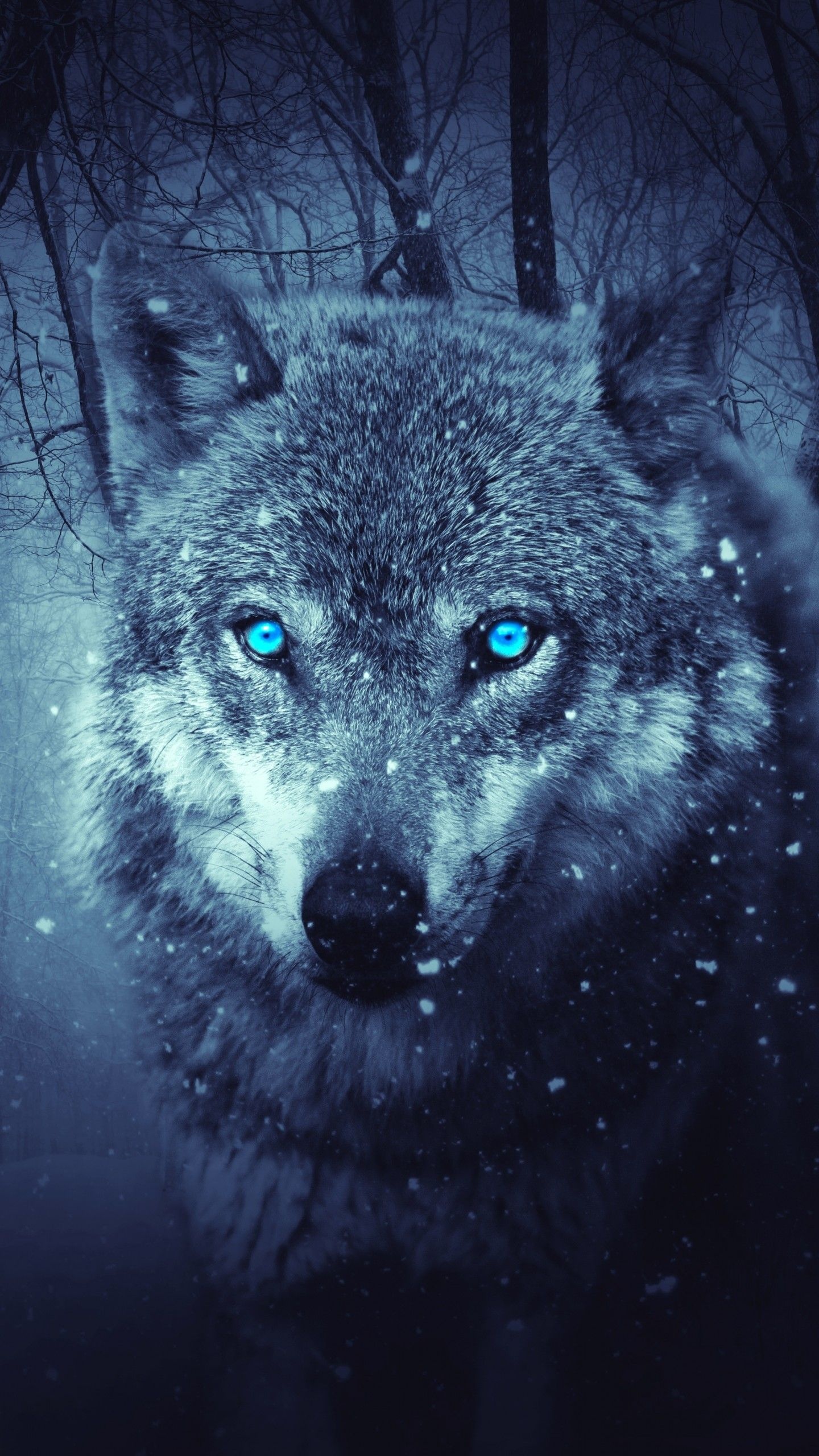 Ice wolf, Majestic creature, Arctic beauty, Wild predator, 1440x2560 HD Phone