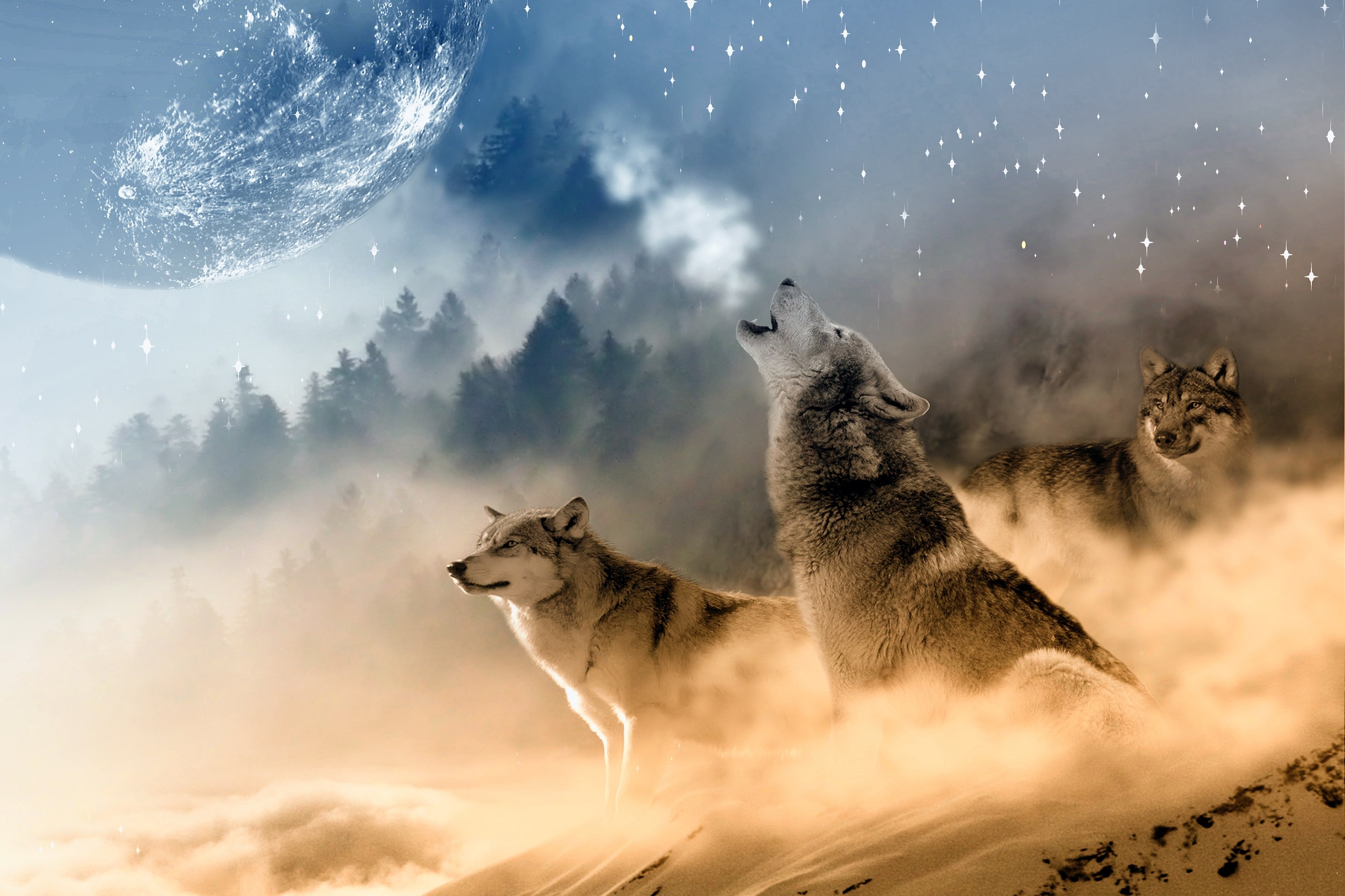 Howling wolf, Moonlit landscapes, Nighttime serenade, Mesmerizing artwork, 2760x1840 HD Desktop