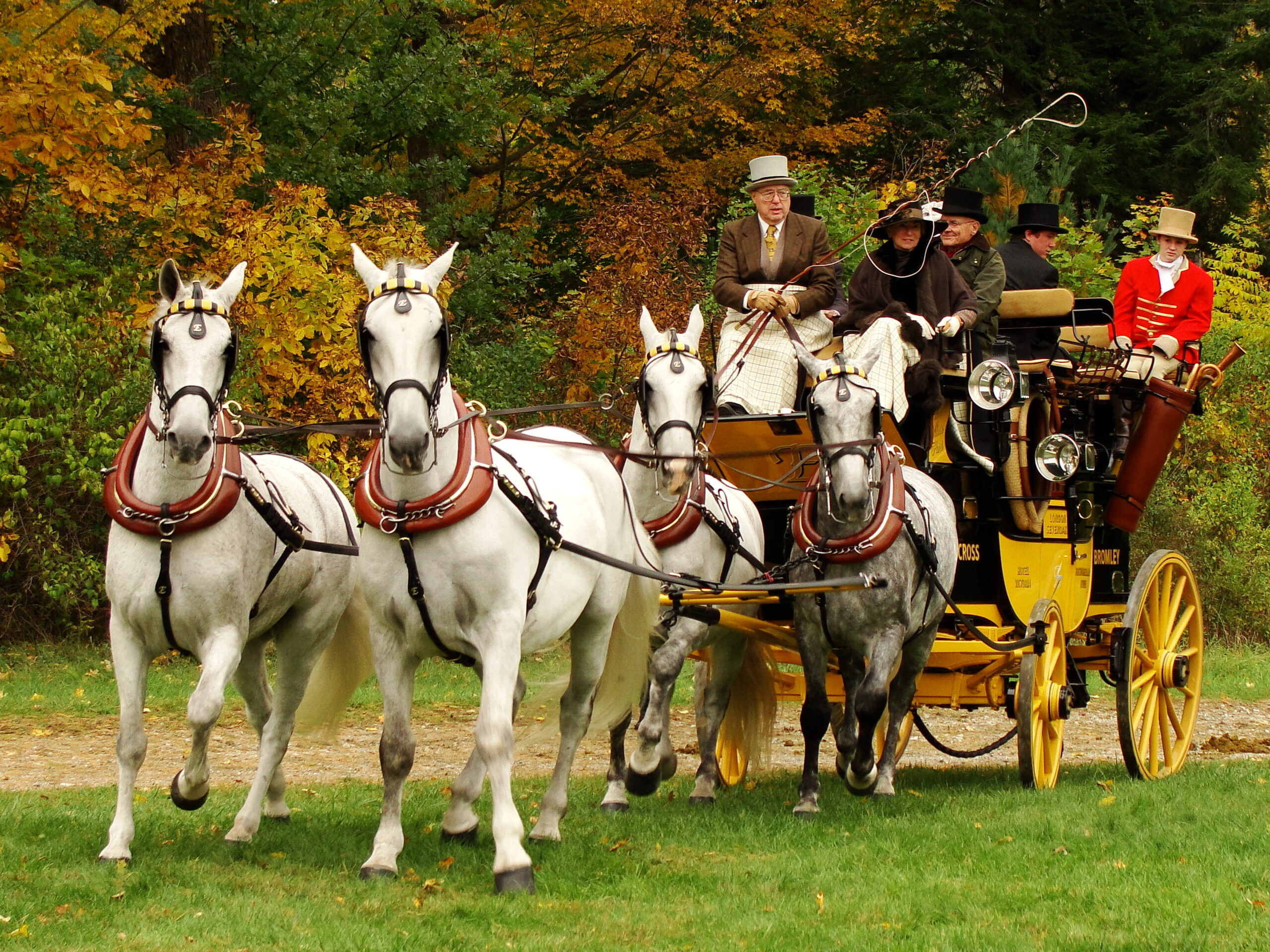Carriage driving sports, Colonial carriage, Driving society, 2560x1920 HD Desktop