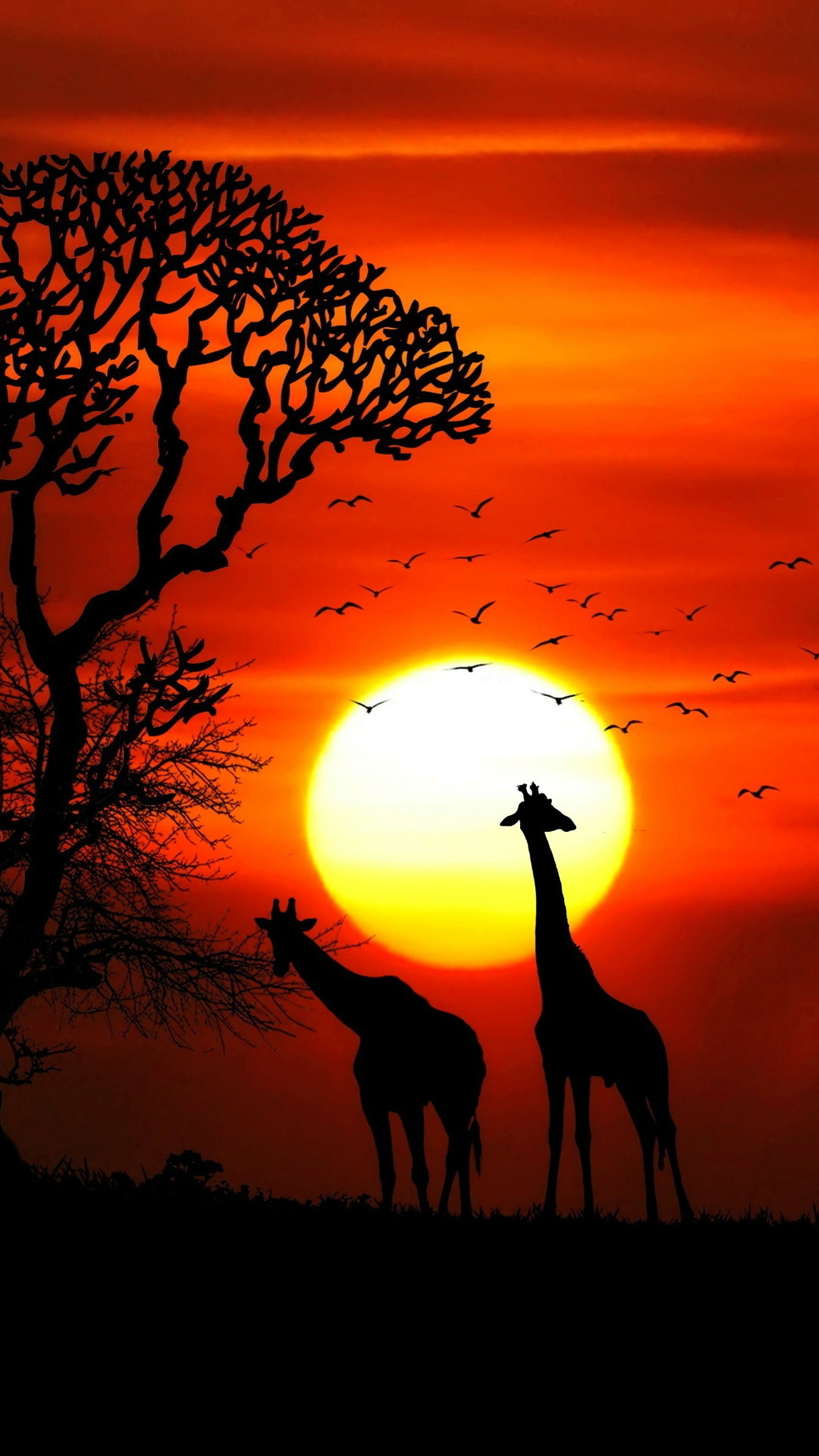 Giraffe: Sunset, Red sky, Tree, Forest, Nature, The tallest living quadruped animal. 1080x1920 Full HD Background.