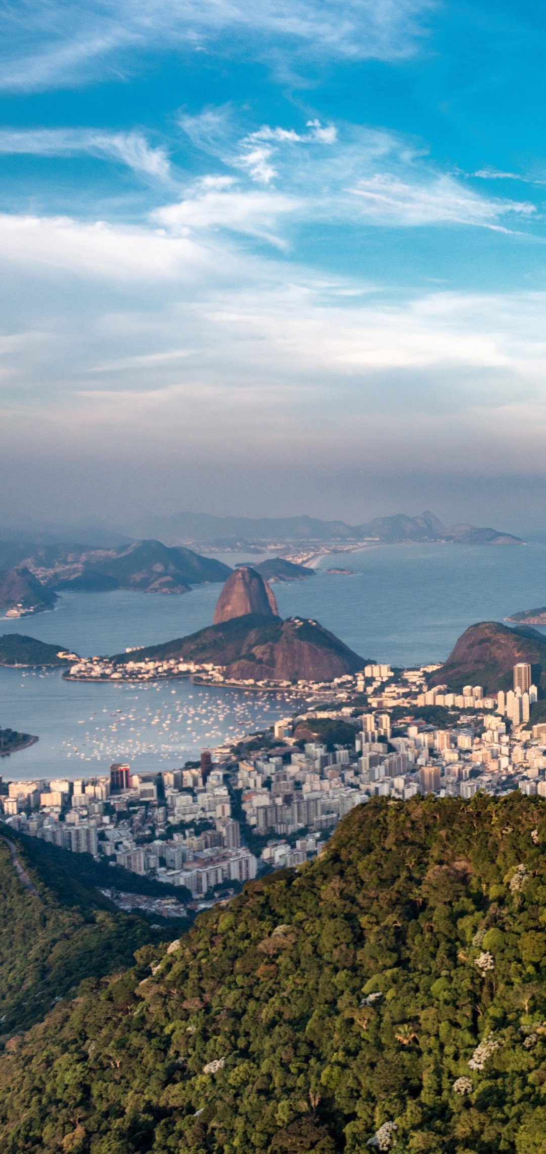 Rio de Janeiro, Travels, Urban landscape, Modern architecture, 1080x2280 HD Phone