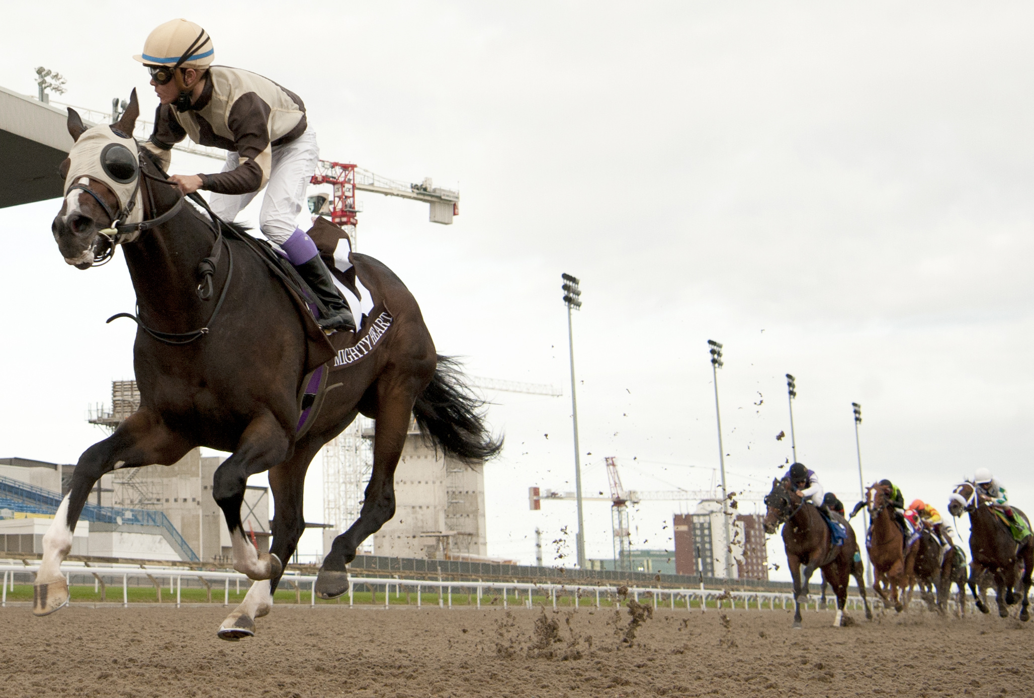 Horse Racing, Exciting races, Equine champions, Horse racing coverage, 2060x1390 HD Desktop