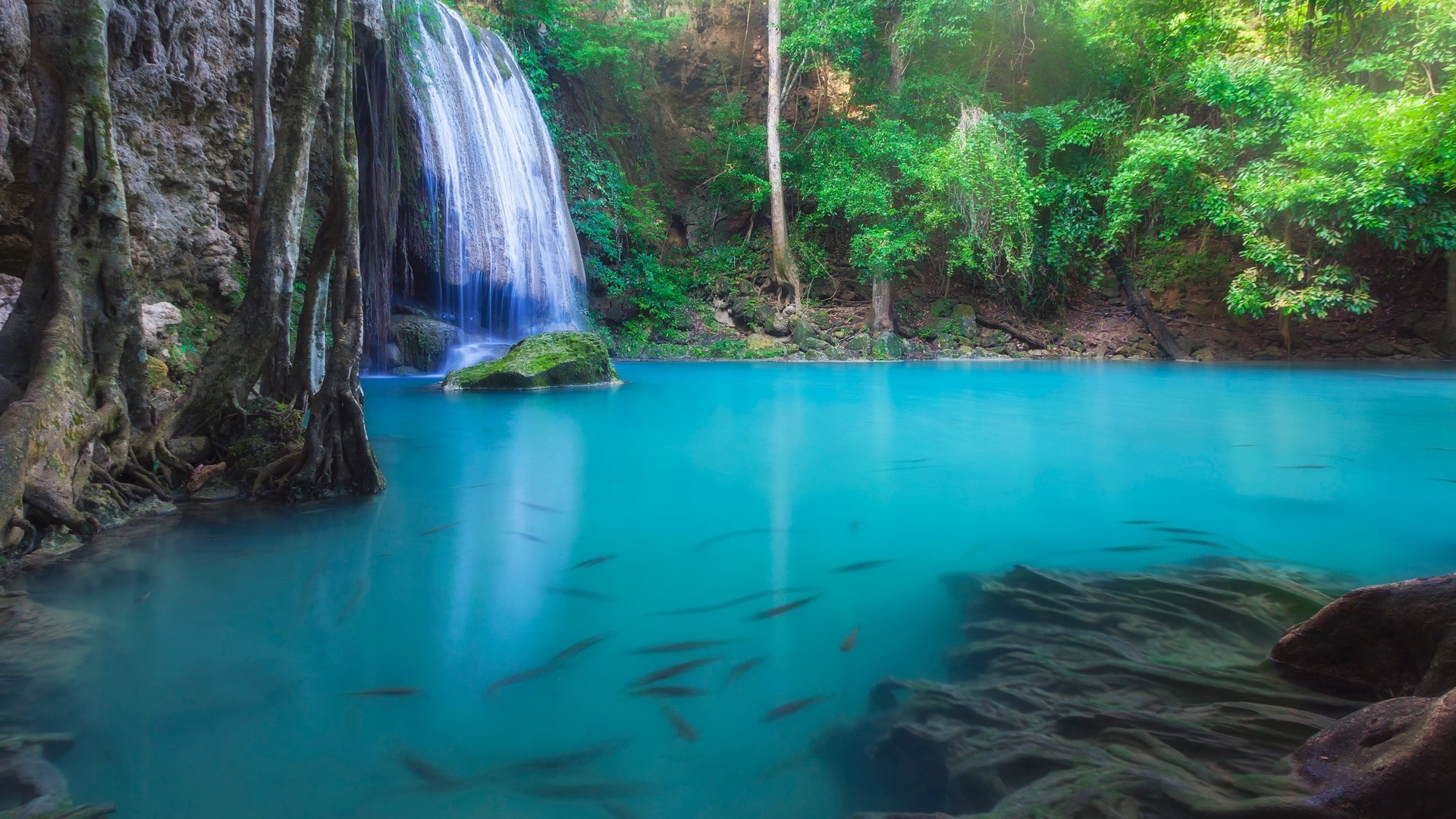 Erawan National Park, Enchanting waterfall, Tranquil forest, Wildlife haven, 1920x1080 Full HD Desktop