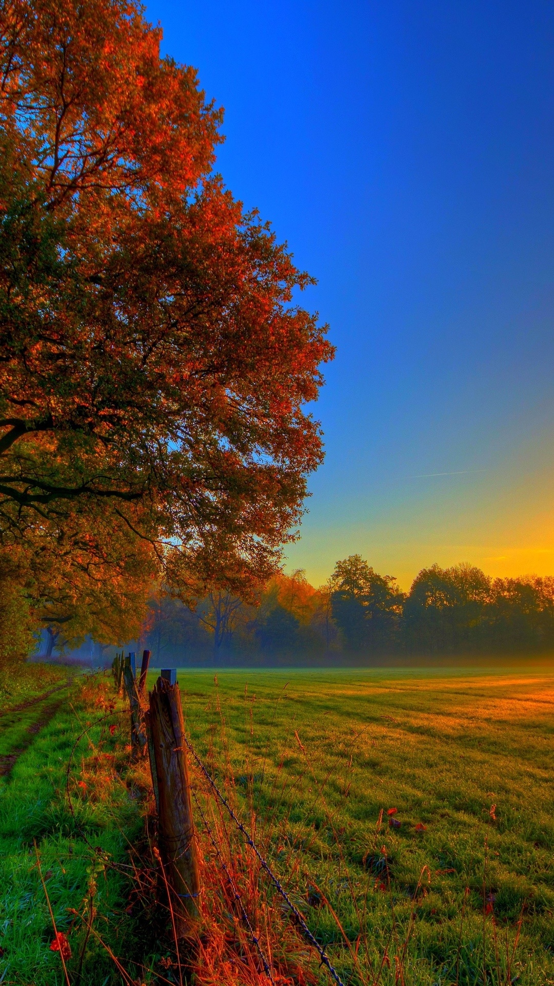Countryside, Herbst Wallpaper, 1080x1920 Full HD Handy