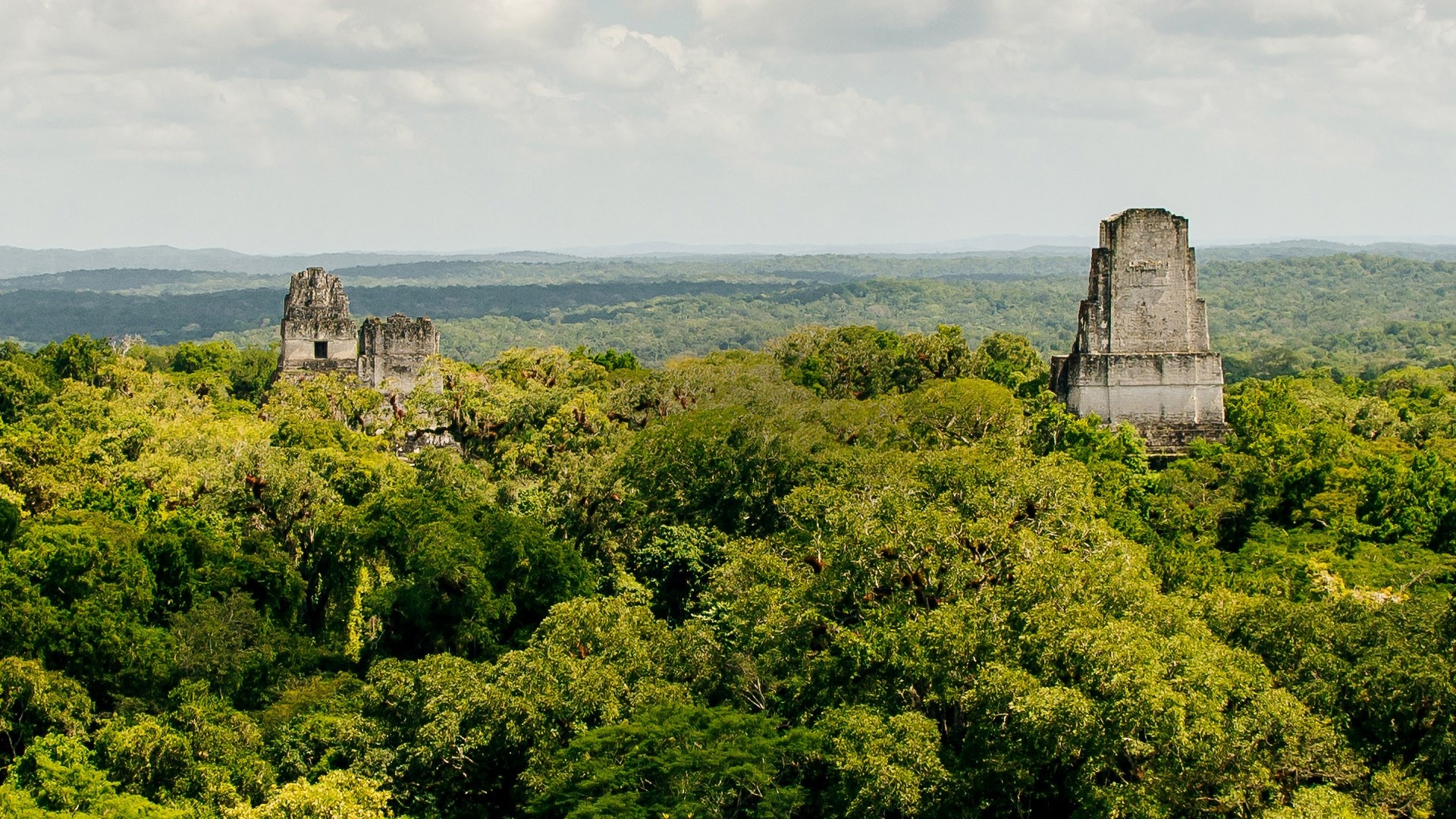 Tikal National Park, Rainforest paradise, Mayan city ruins, Windows 10 spotlight images, 1920x1080 Full HD Desktop