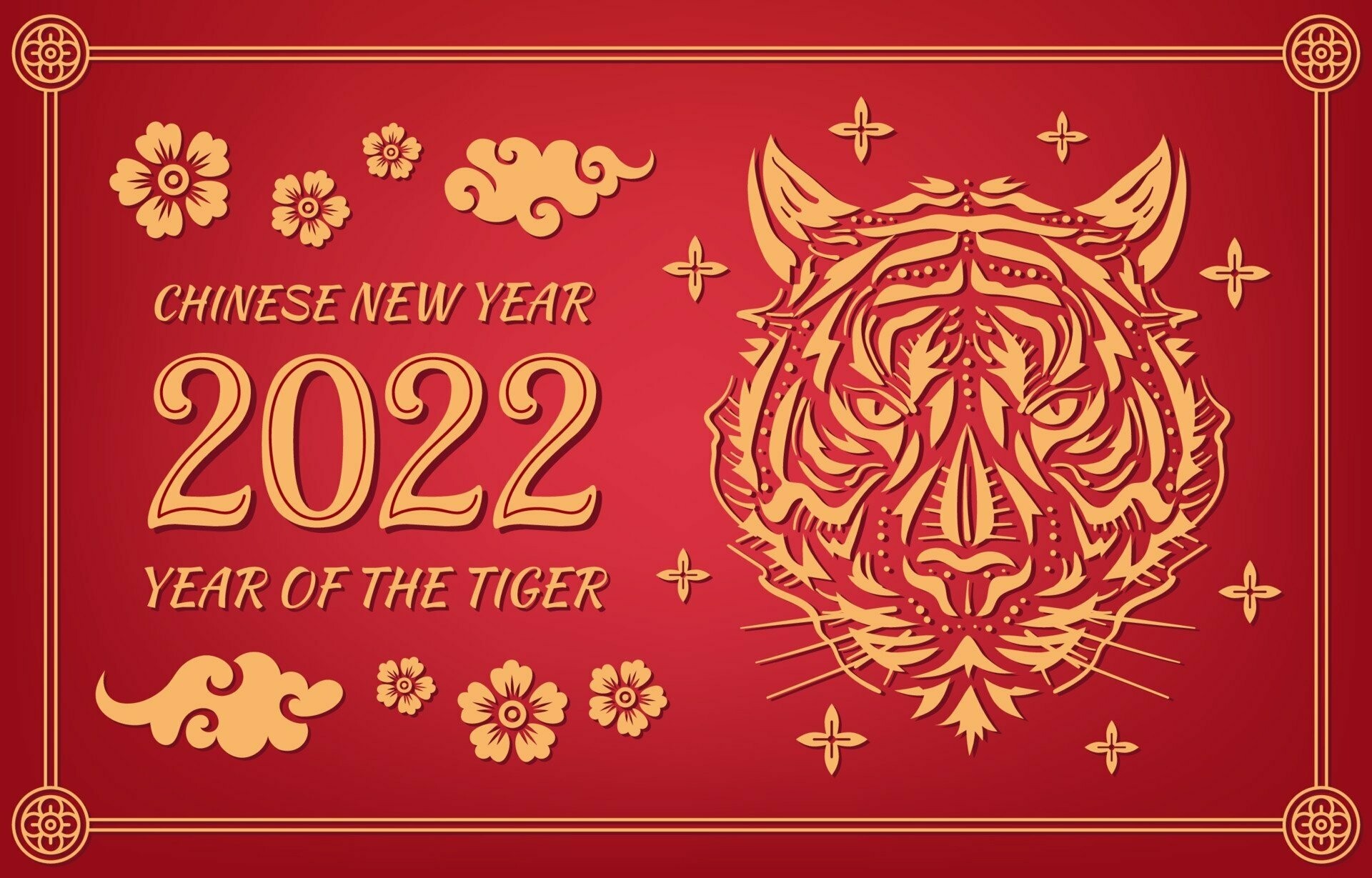 Year of the Tiger, HD wallpaper background, 1920x1230 HD Desktop