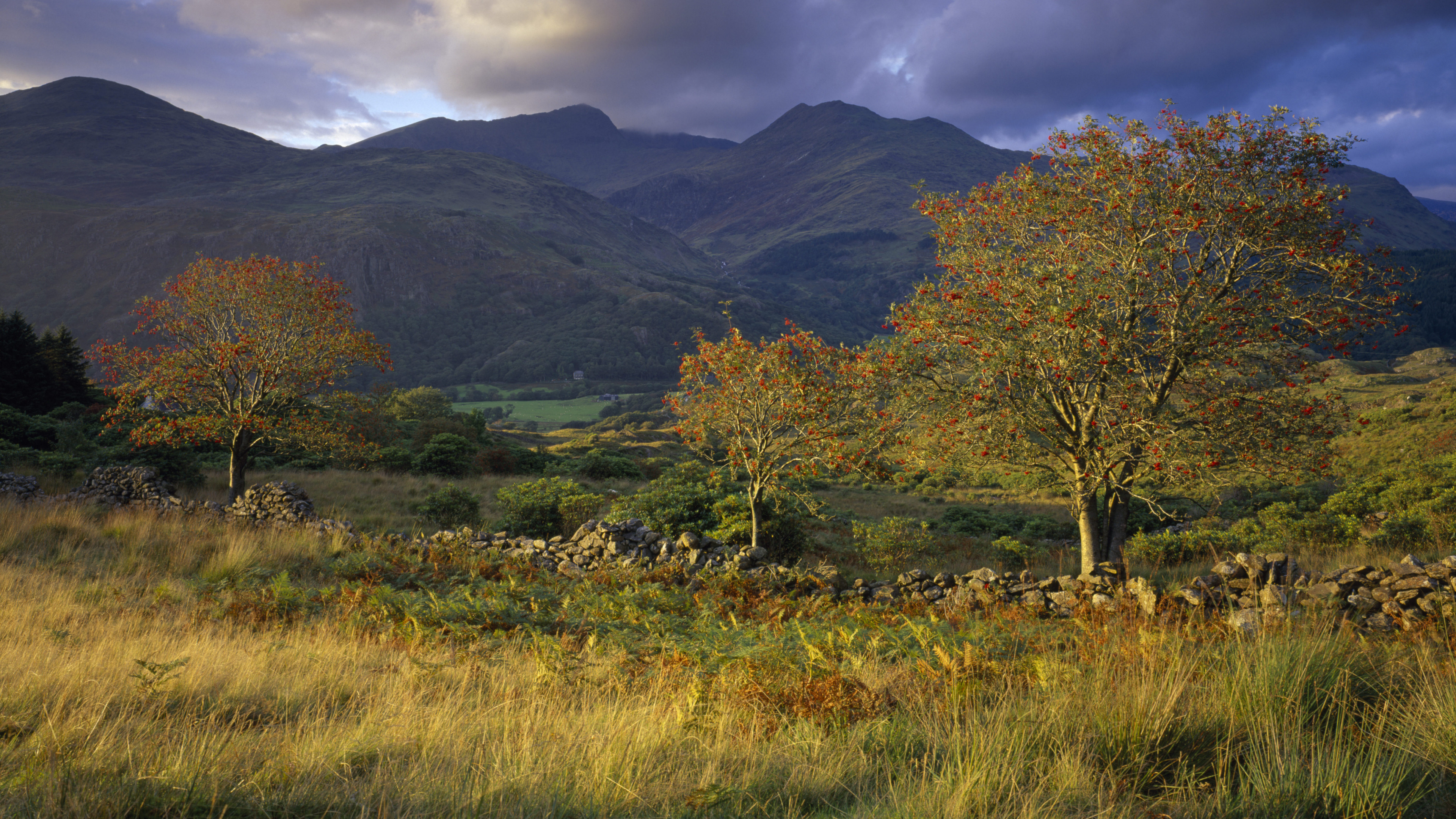 Wales, Snowdonia landscape, Green bridge, Wales wallpaper, 3840x2160 4K Desktop