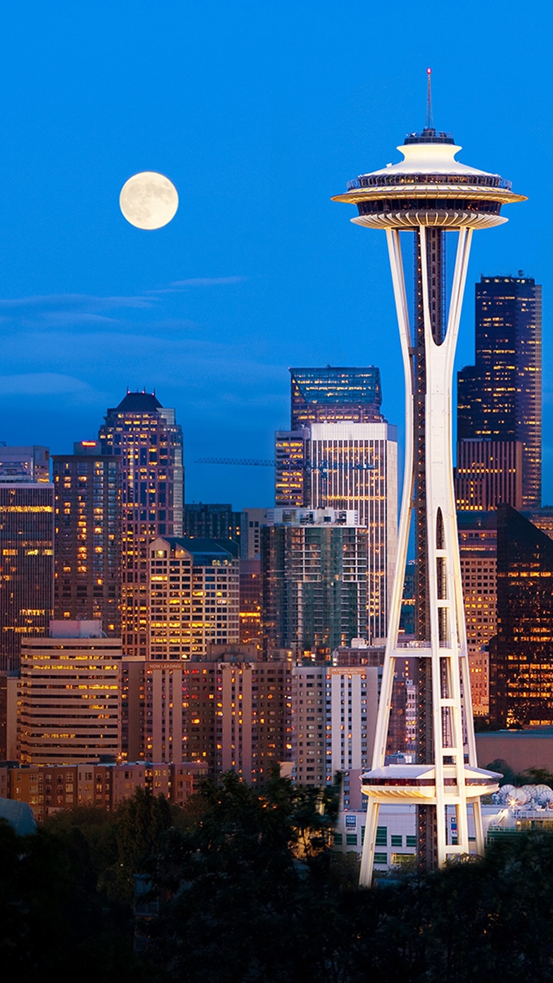 Downtown Seattle skyline, Full moon, Washington state, 1080x1920 Full HD Phone
