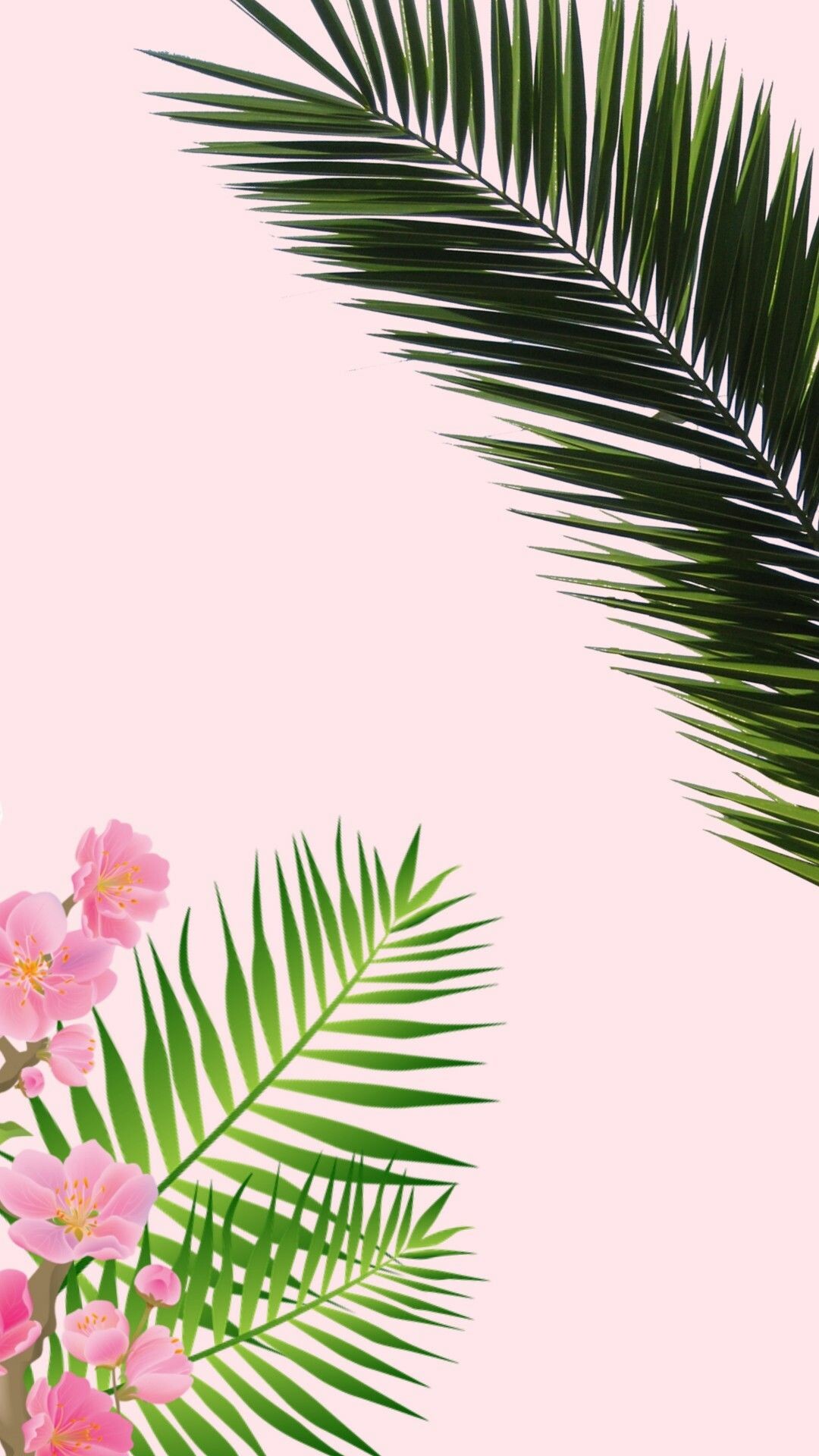 Palm Tree: A symbol of victory, triumph, peace, Arecaceae. 1080x1920 Full HD Wallpaper.