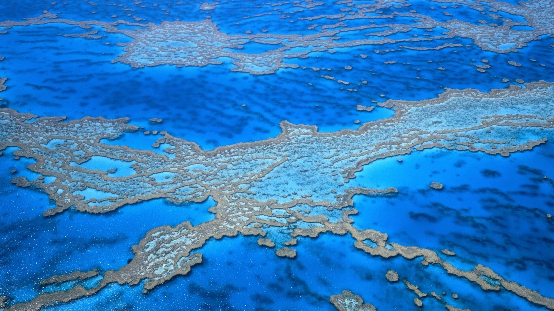 Great Barrier Reef: The world's largest coral reef system, composed of over 2,900 individual reefs and 900 islands. 1920x1080 Full HD Background.