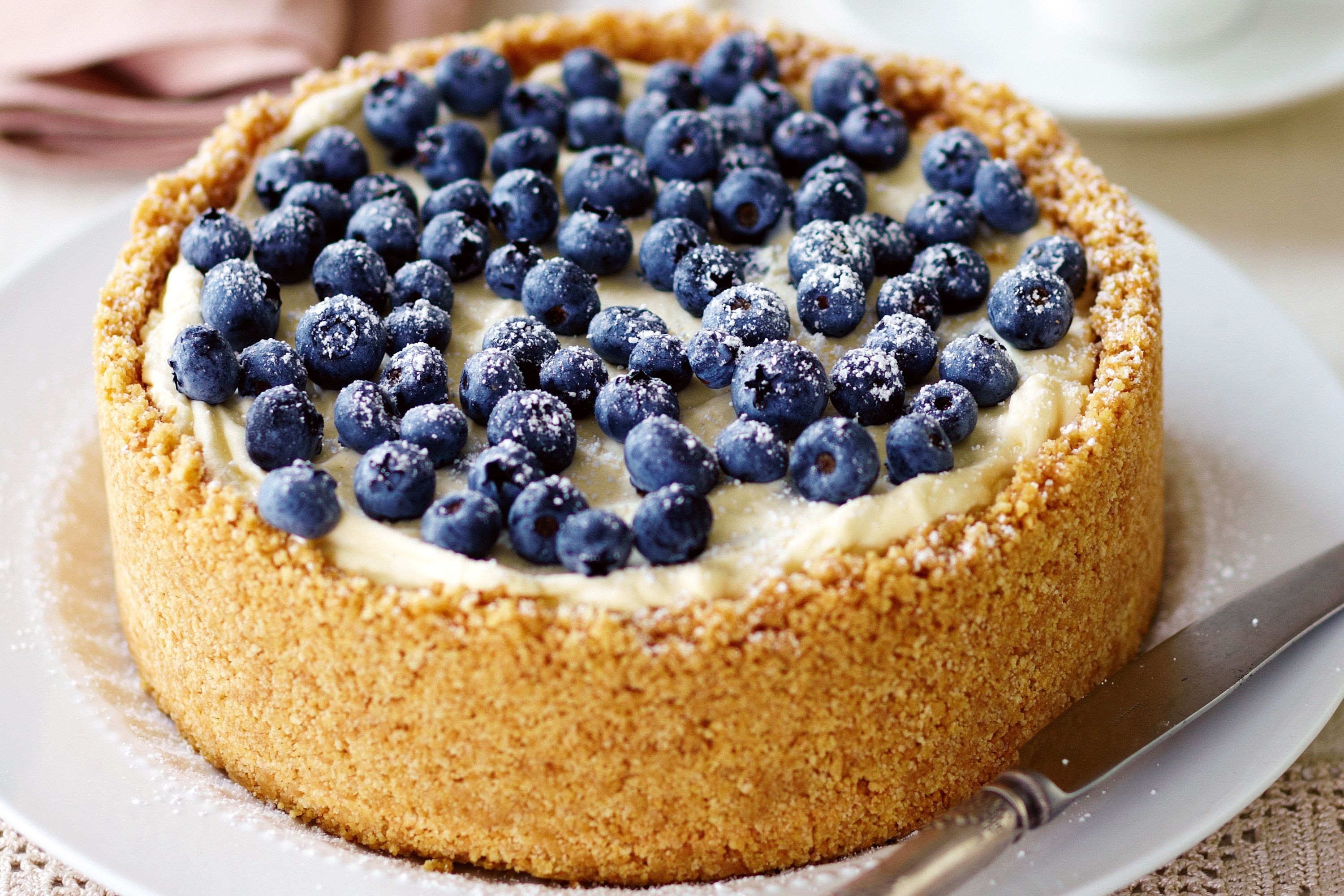Tempting blueberry cheesecake, Creamy and indulgent, Sweet and tangy, Dessert heaven, 3000x2000 HD Desktop