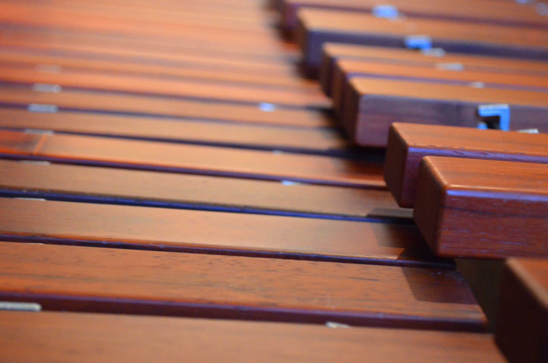Xylophone: Marching Band of TURA Harksheide E.V., A Chromatic Instrument, High Pitch Range. 2270x1500 HD Wallpaper.